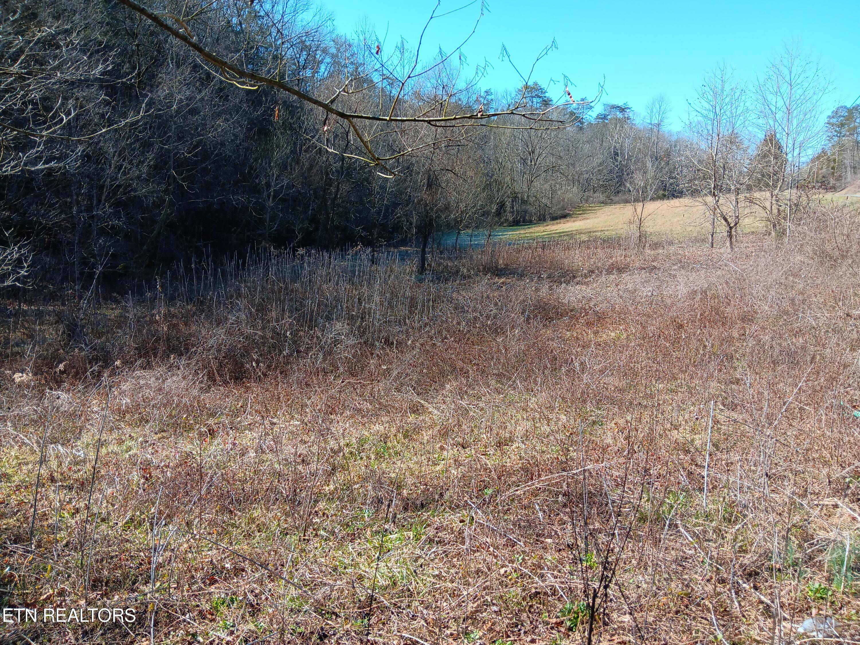0 Crackers Neck Road Washburn TN 37888