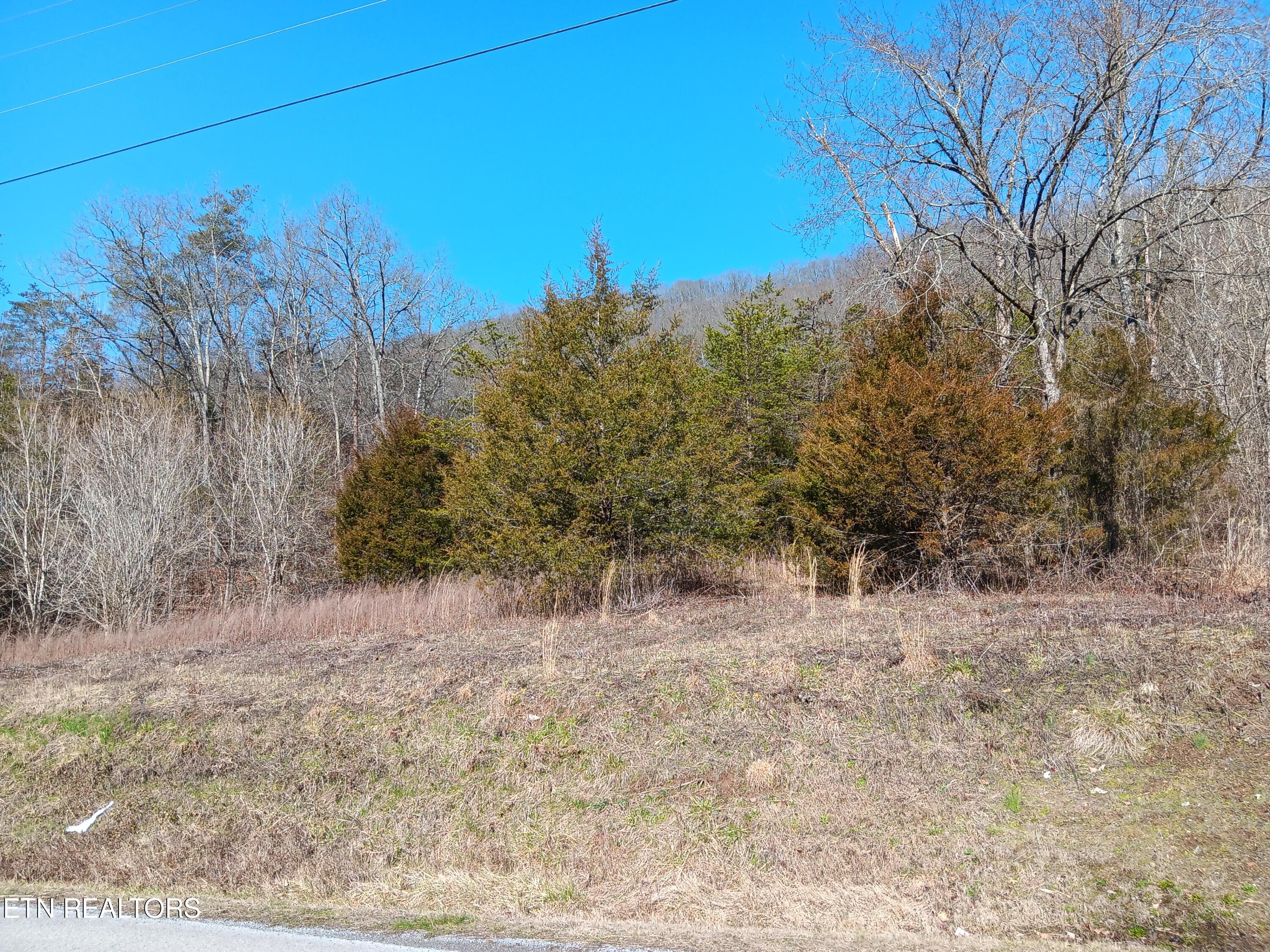 0 Crackers Neck Road Washburn TN 37888