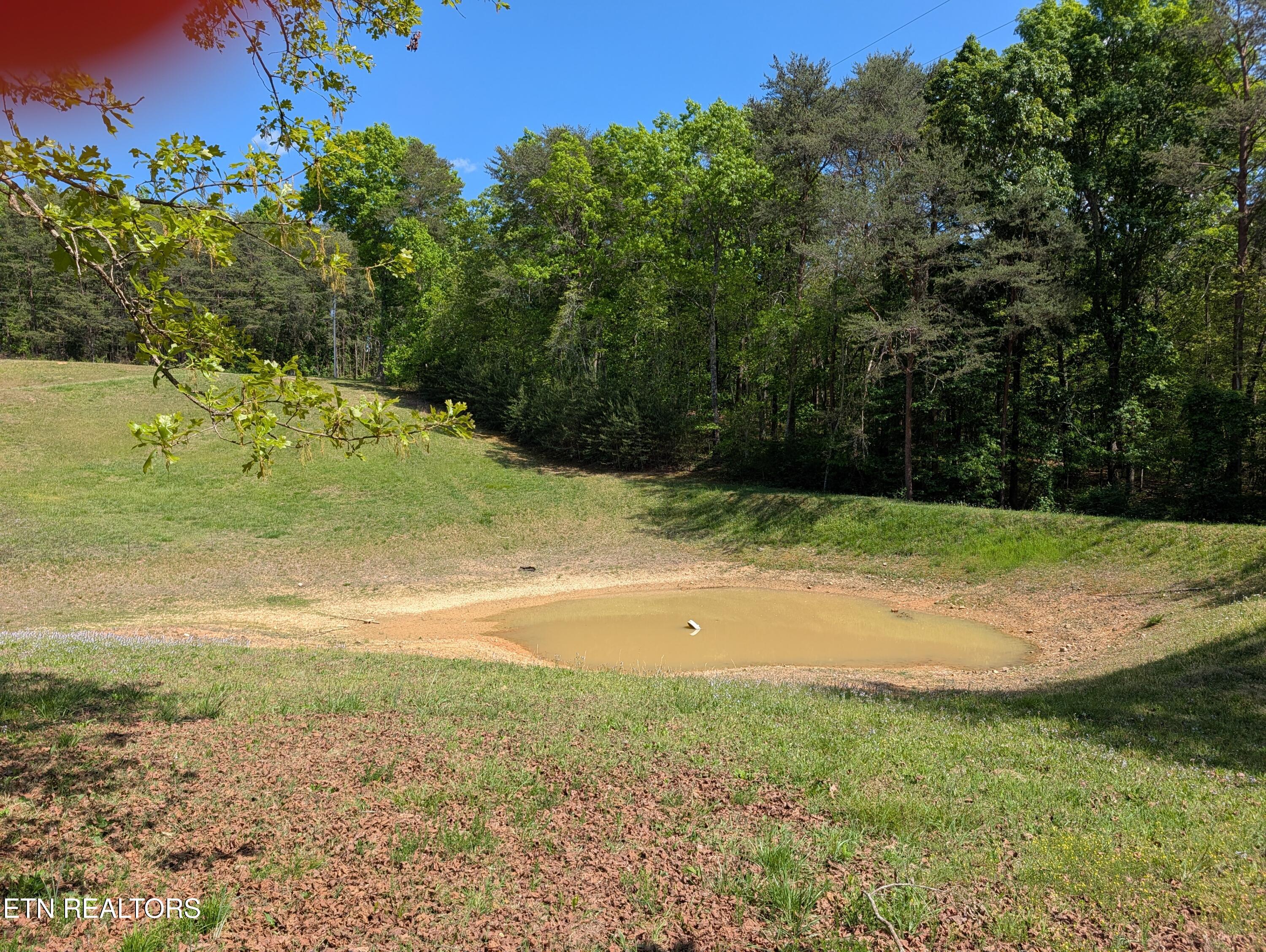 135 Garren Hart Lane Spring City TN 37381