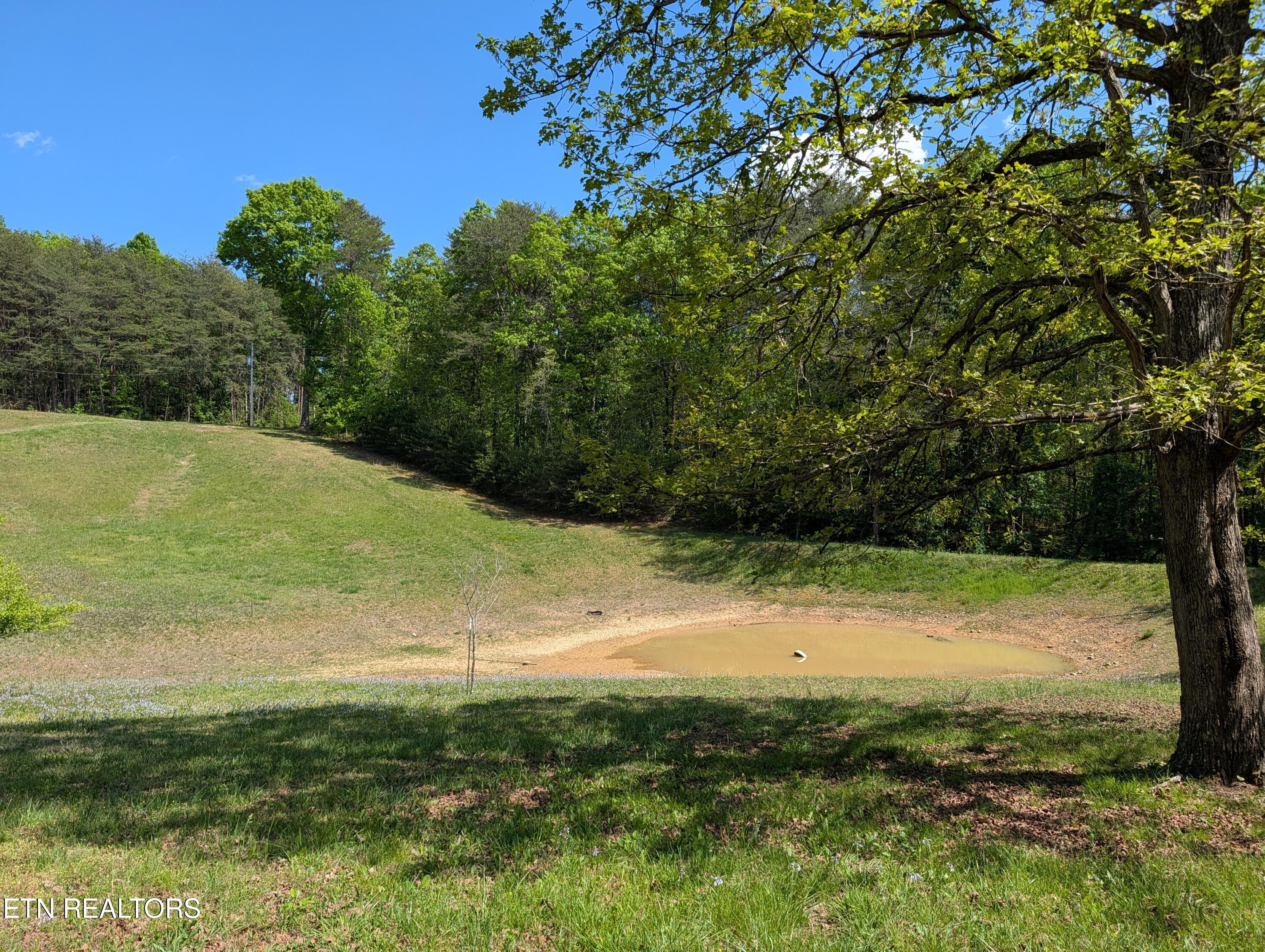 135 Garren Hart Lane Spring City TN 37381