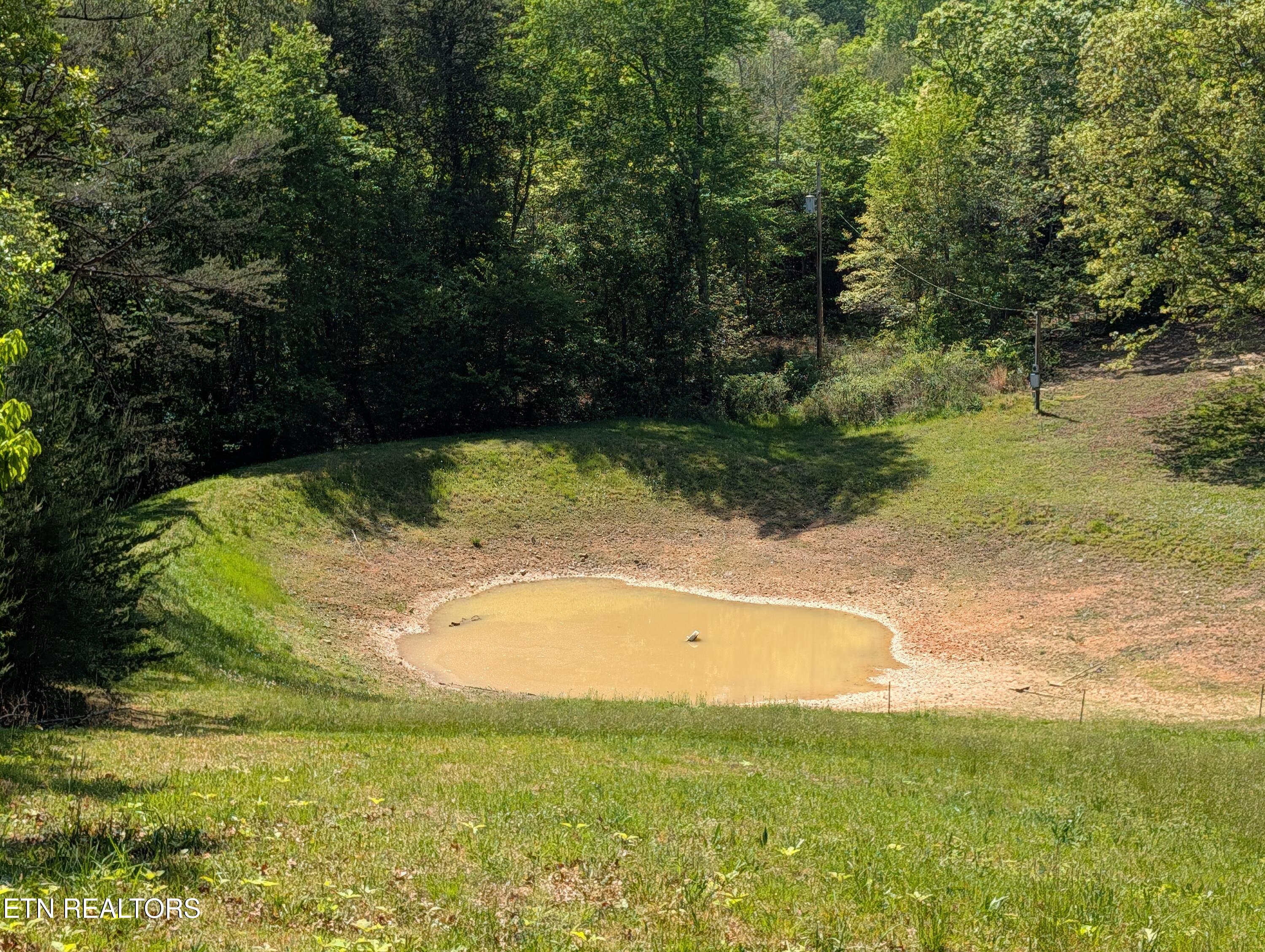 135 Garren Hart Lane Spring City TN 37381