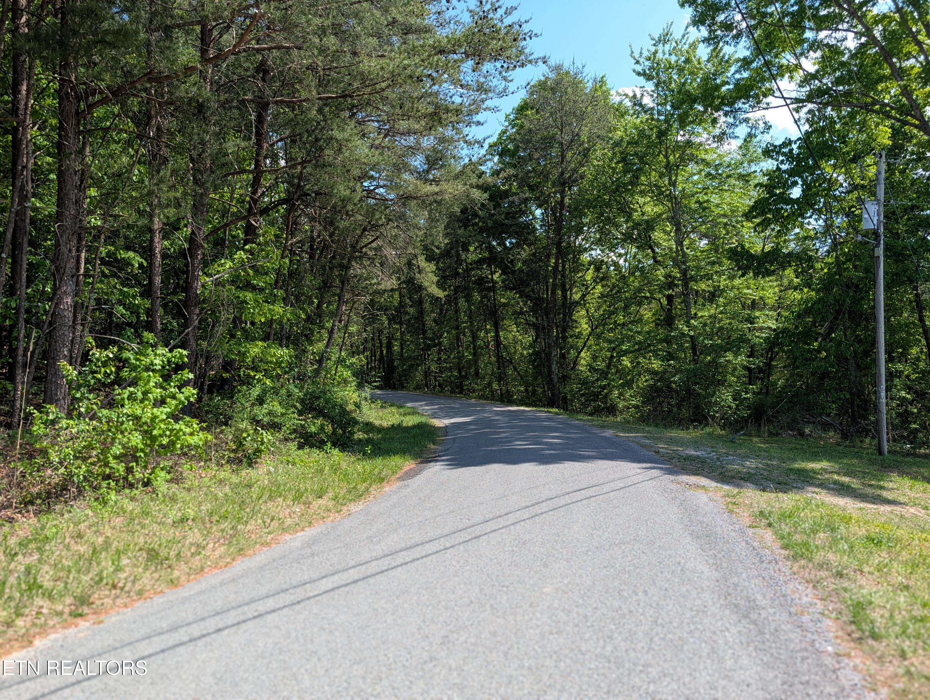 135 Garren Hart Lane Spring City TN 37381