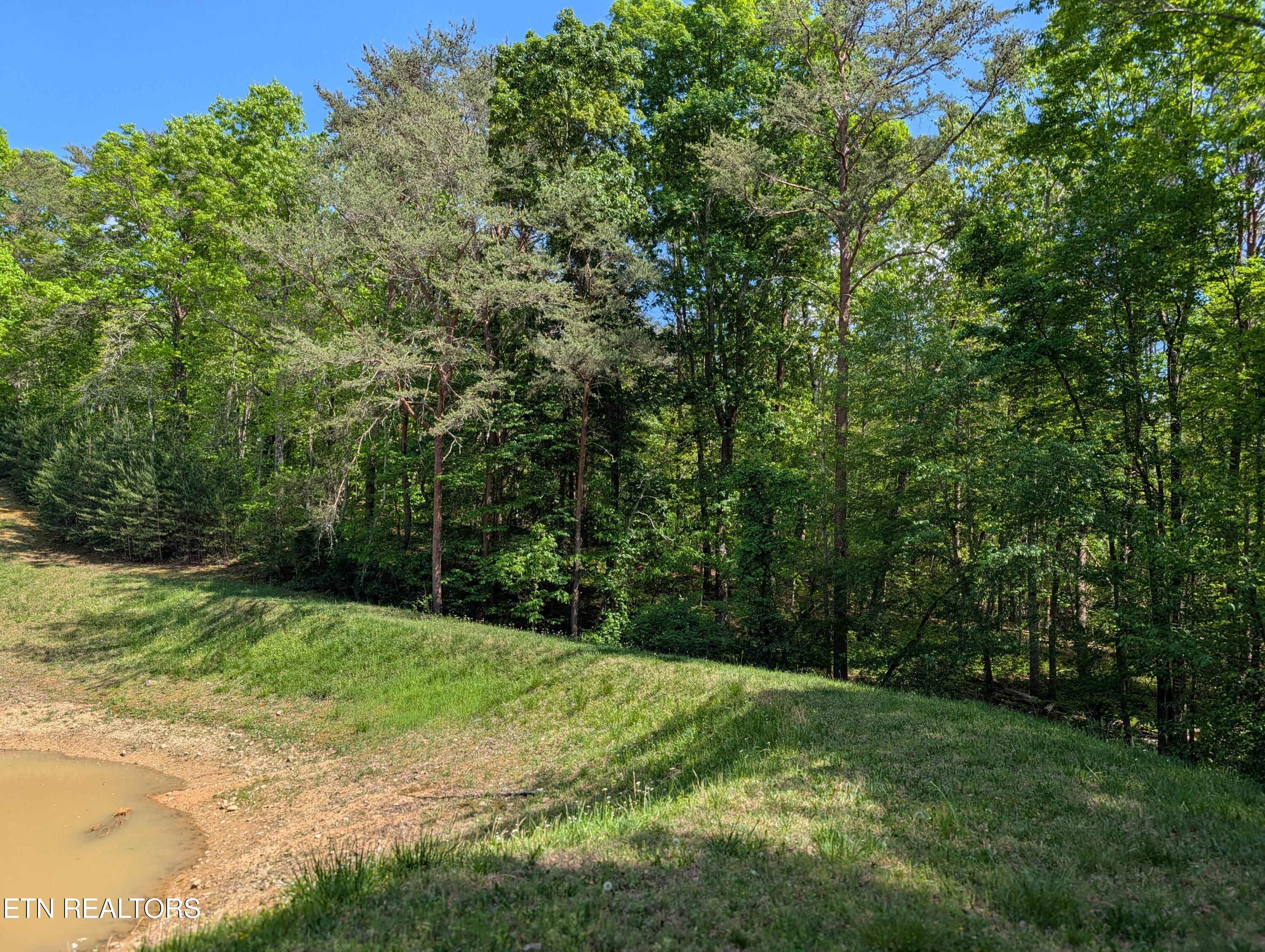135 Garren Hart Lane Spring City TN 37381