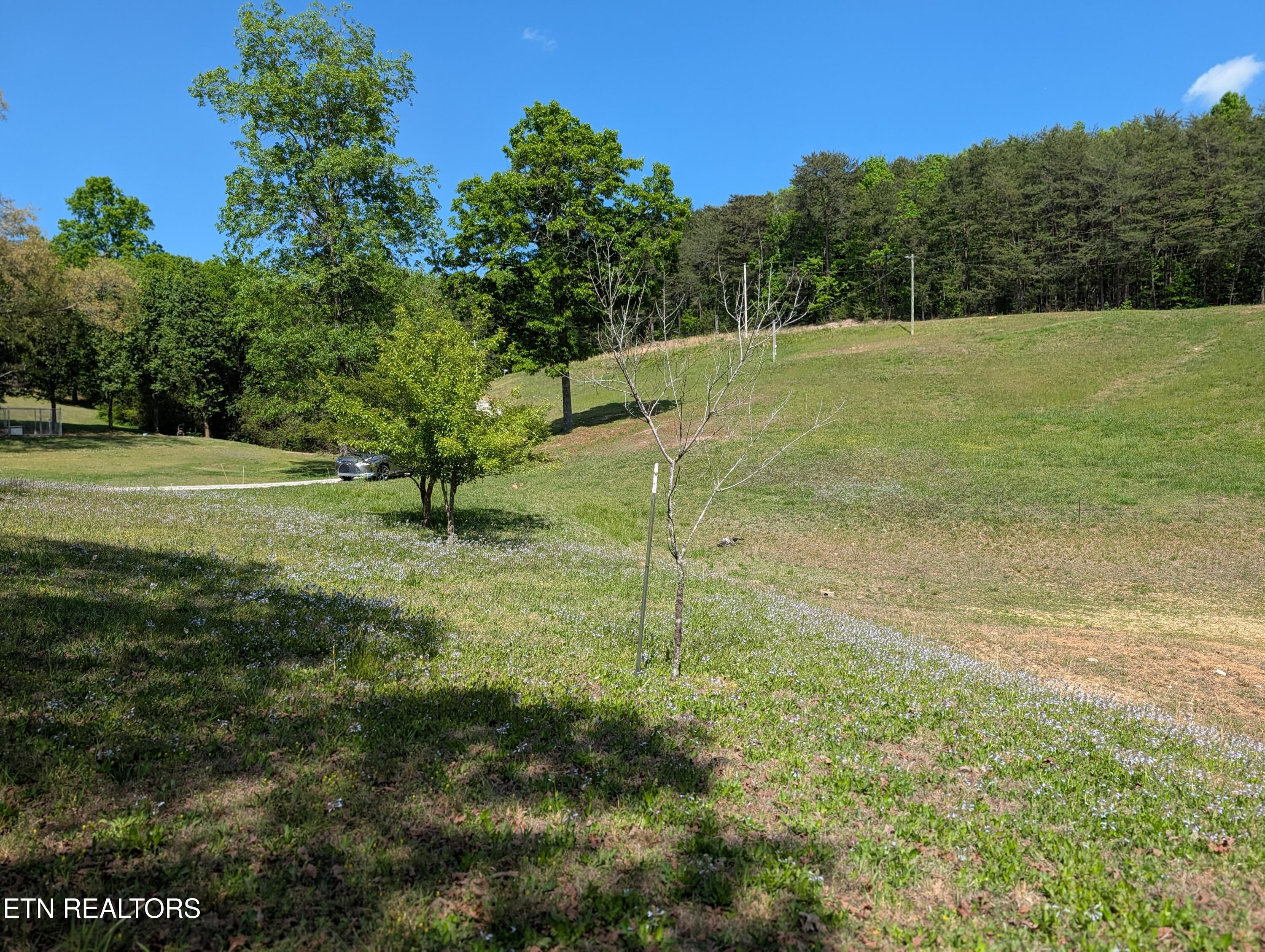 135 Garren Hart Lane Spring City TN 37381