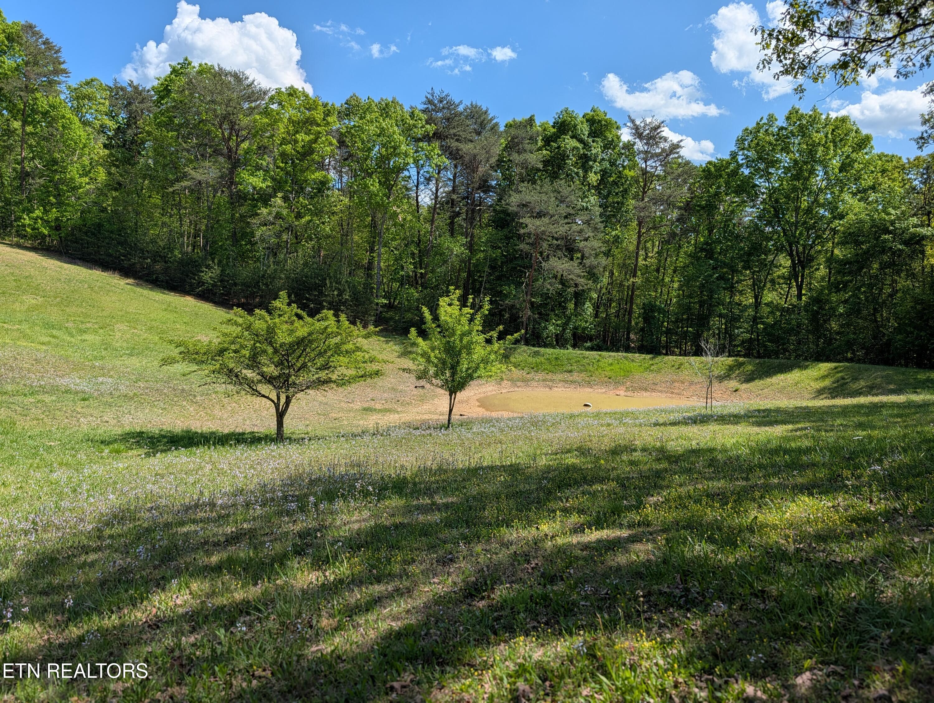 135 Garren Hart Lane Spring City TN 37381