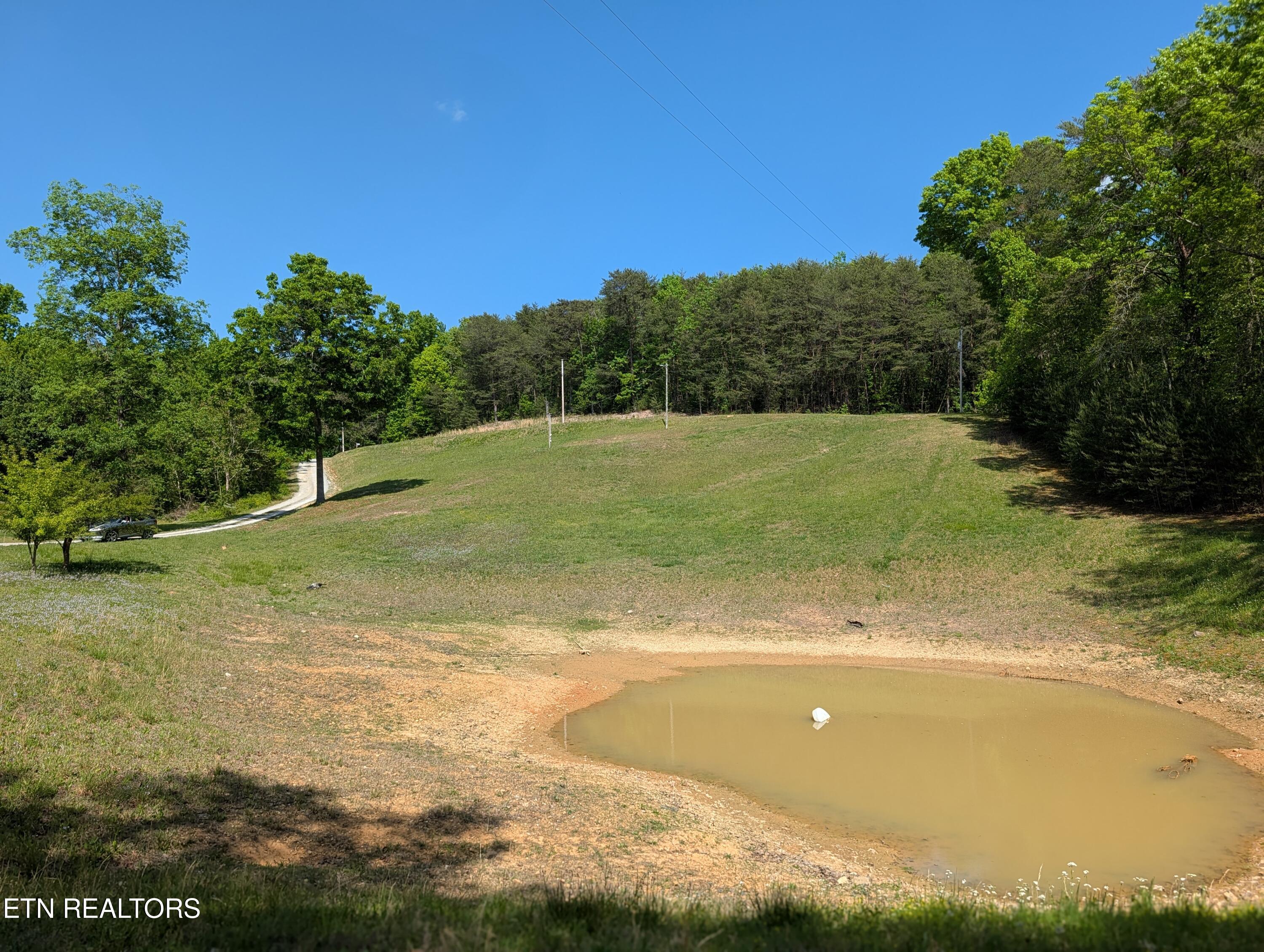 135 Garren Hart Lane Spring City TN 37381
