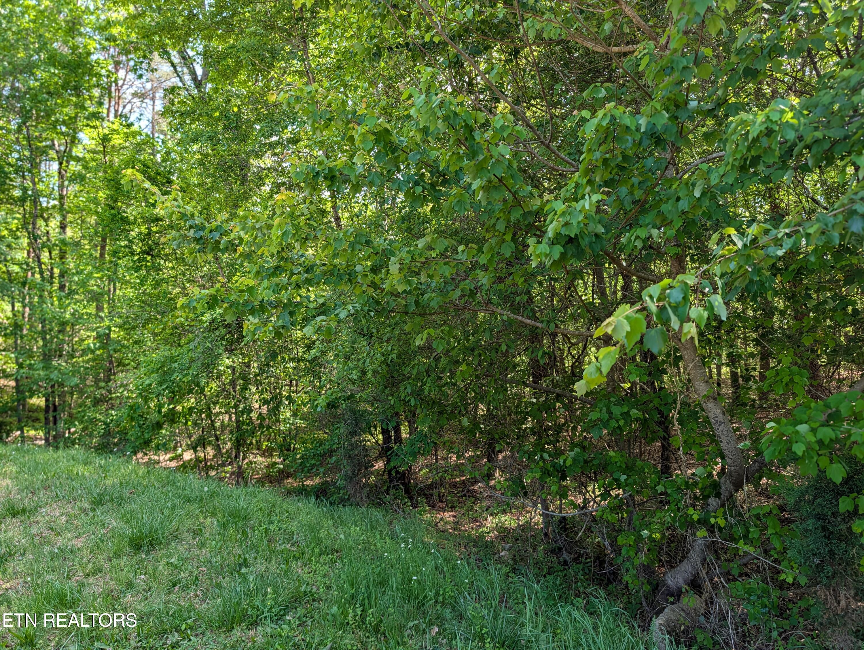 135 Garren Hart Lane Spring City TN 37381