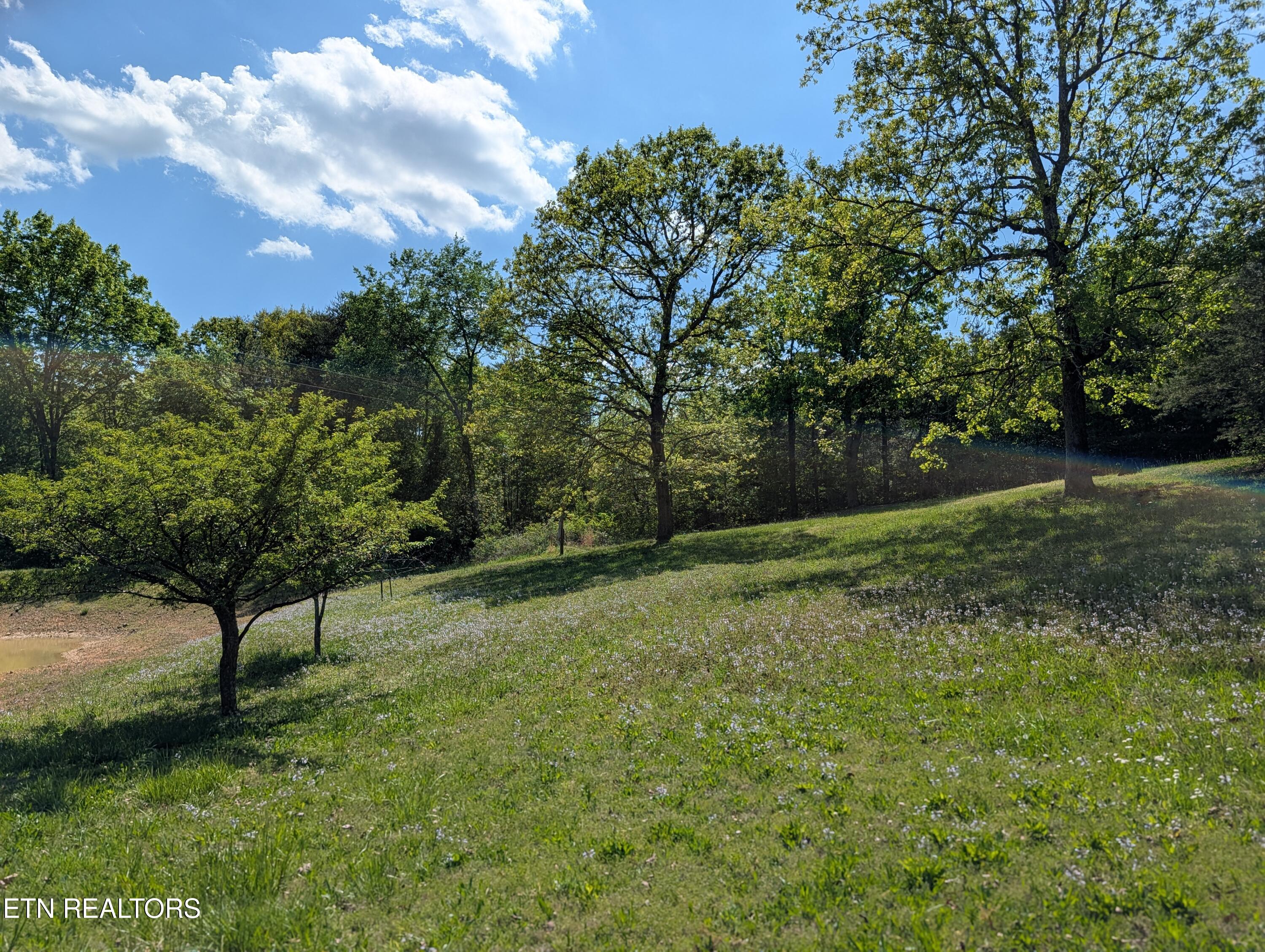 135 Garren Hart Lane Spring City TN 37381