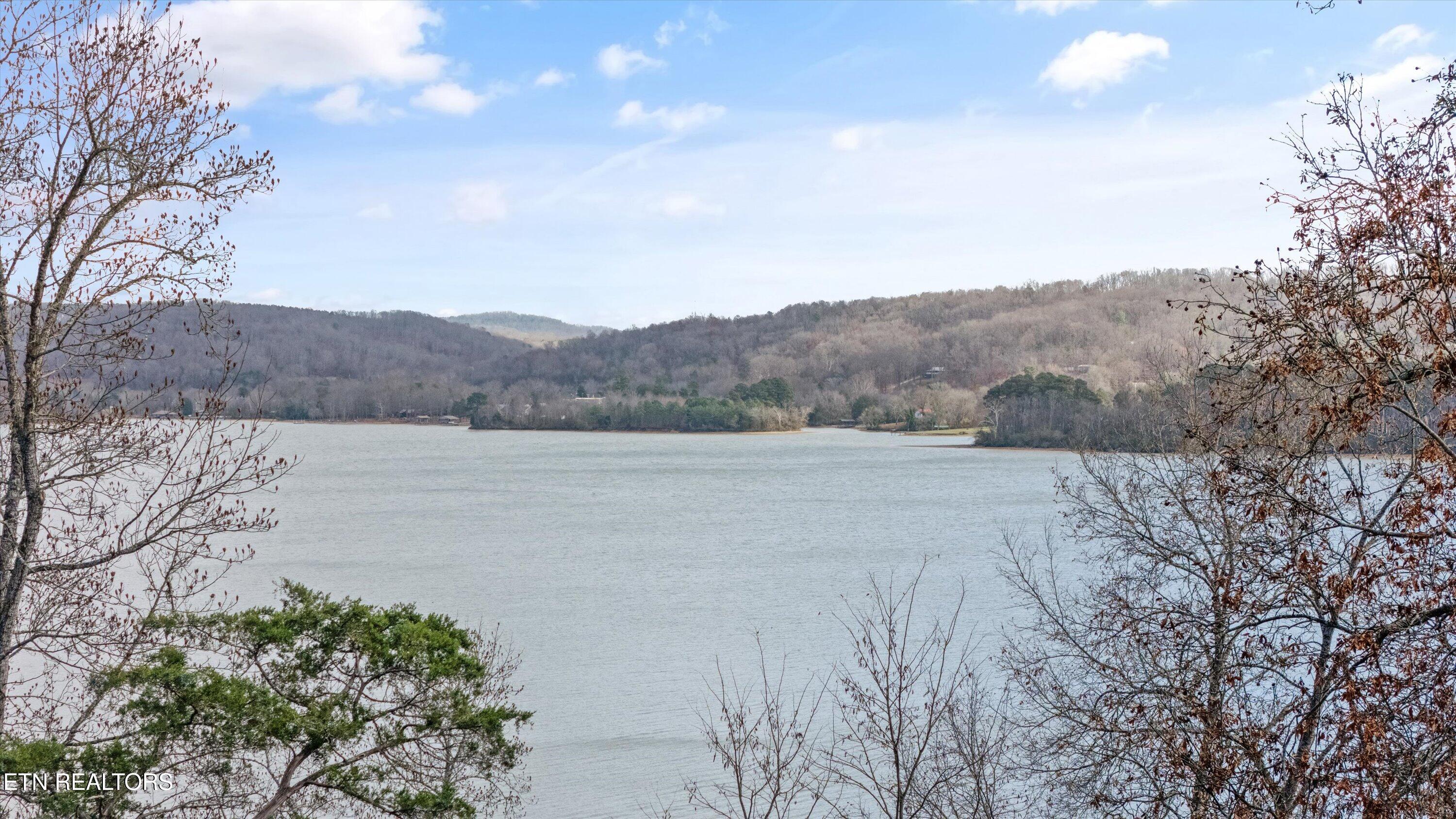 Lot 167 E Shore Drive Rockwood TN 37854