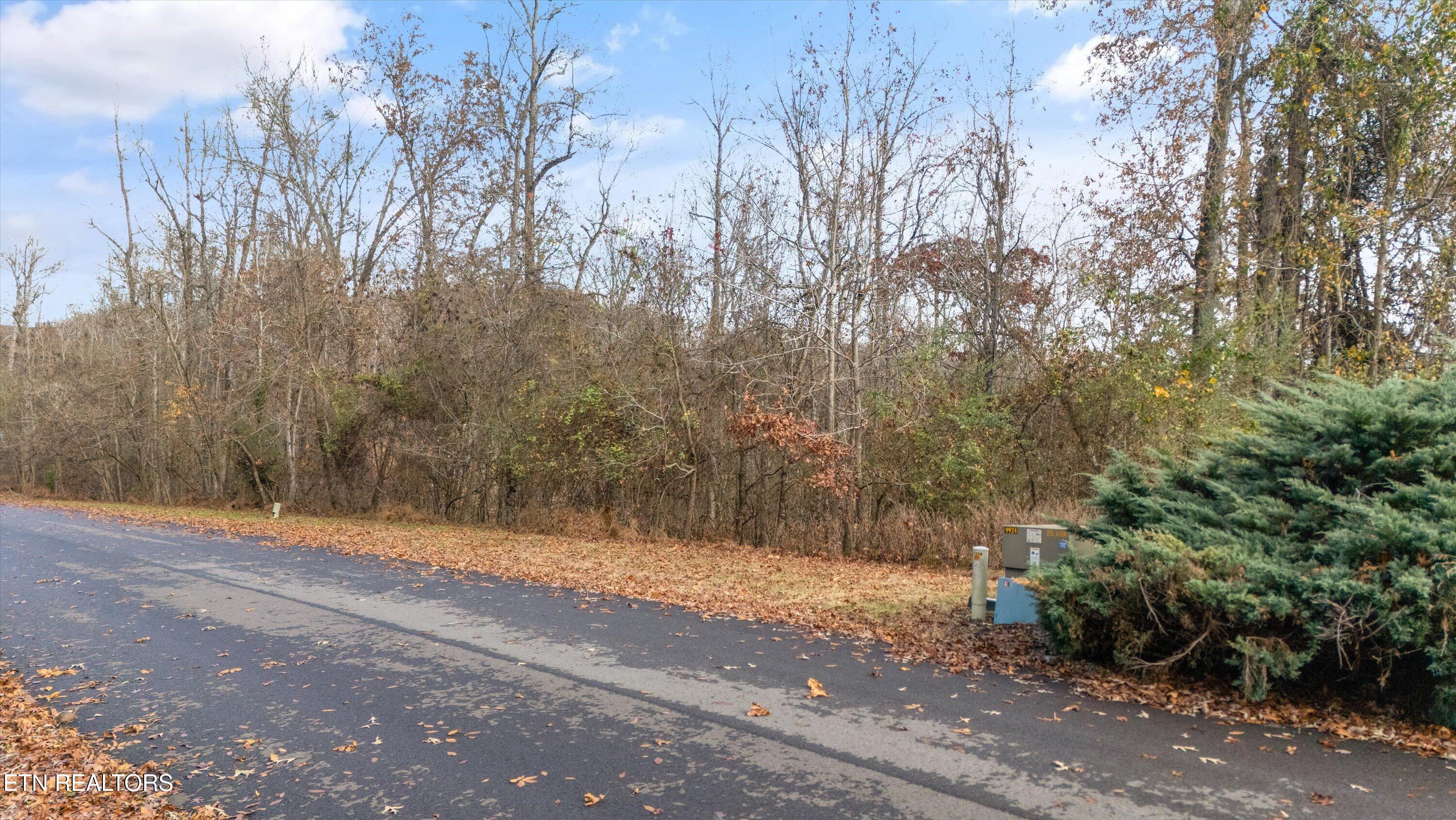 Lot 167 E Shore Drive Rockwood TN 37854