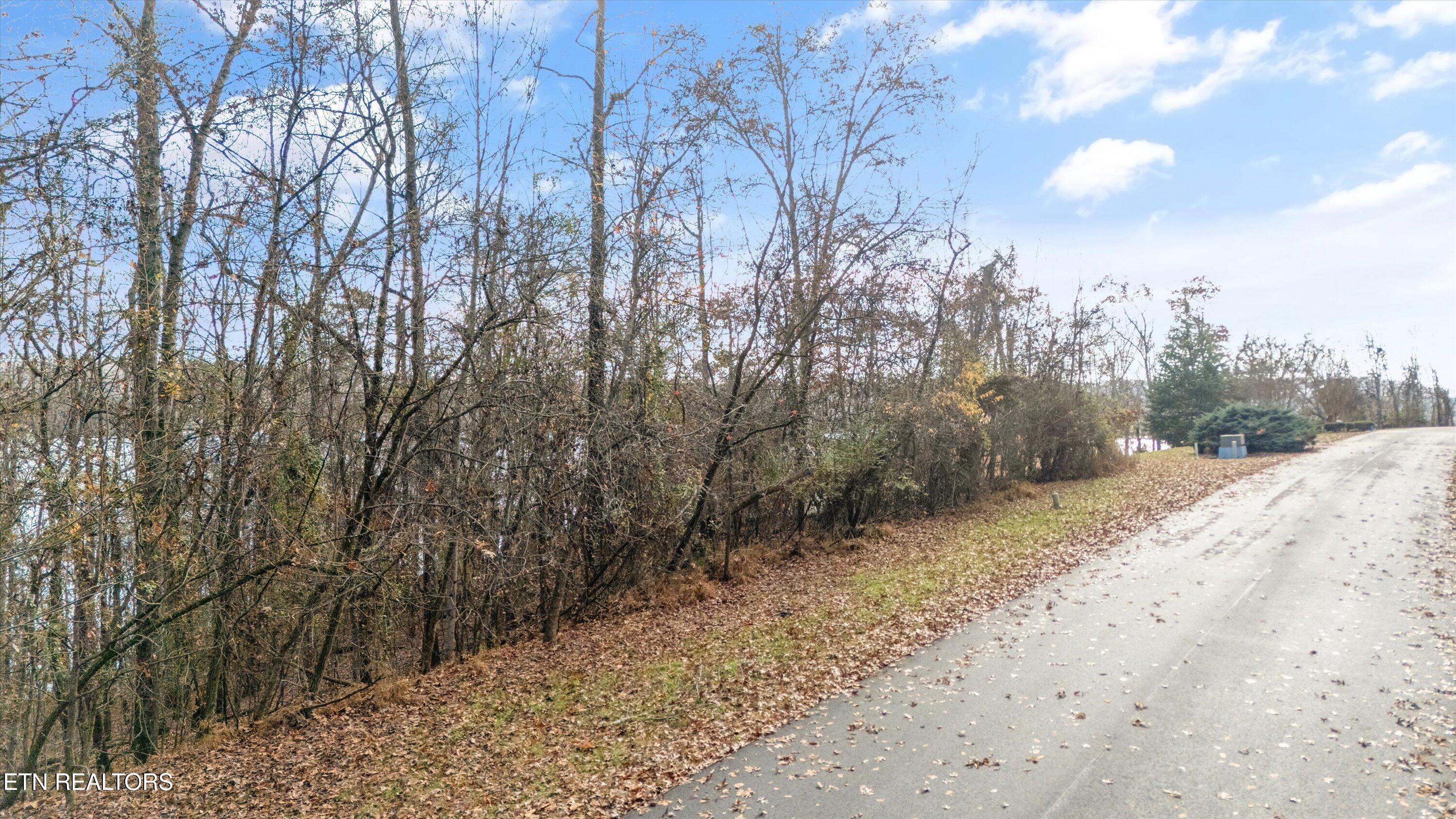 Lot 167 E Shore Drive Rockwood TN 37854