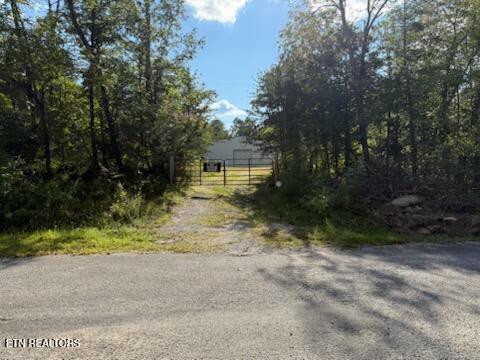 Reid Watson Road Deer Lodge TN 37726
