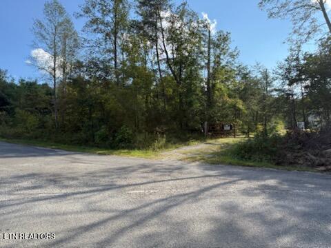 Reid Watson Road Deer Lodge TN 37726