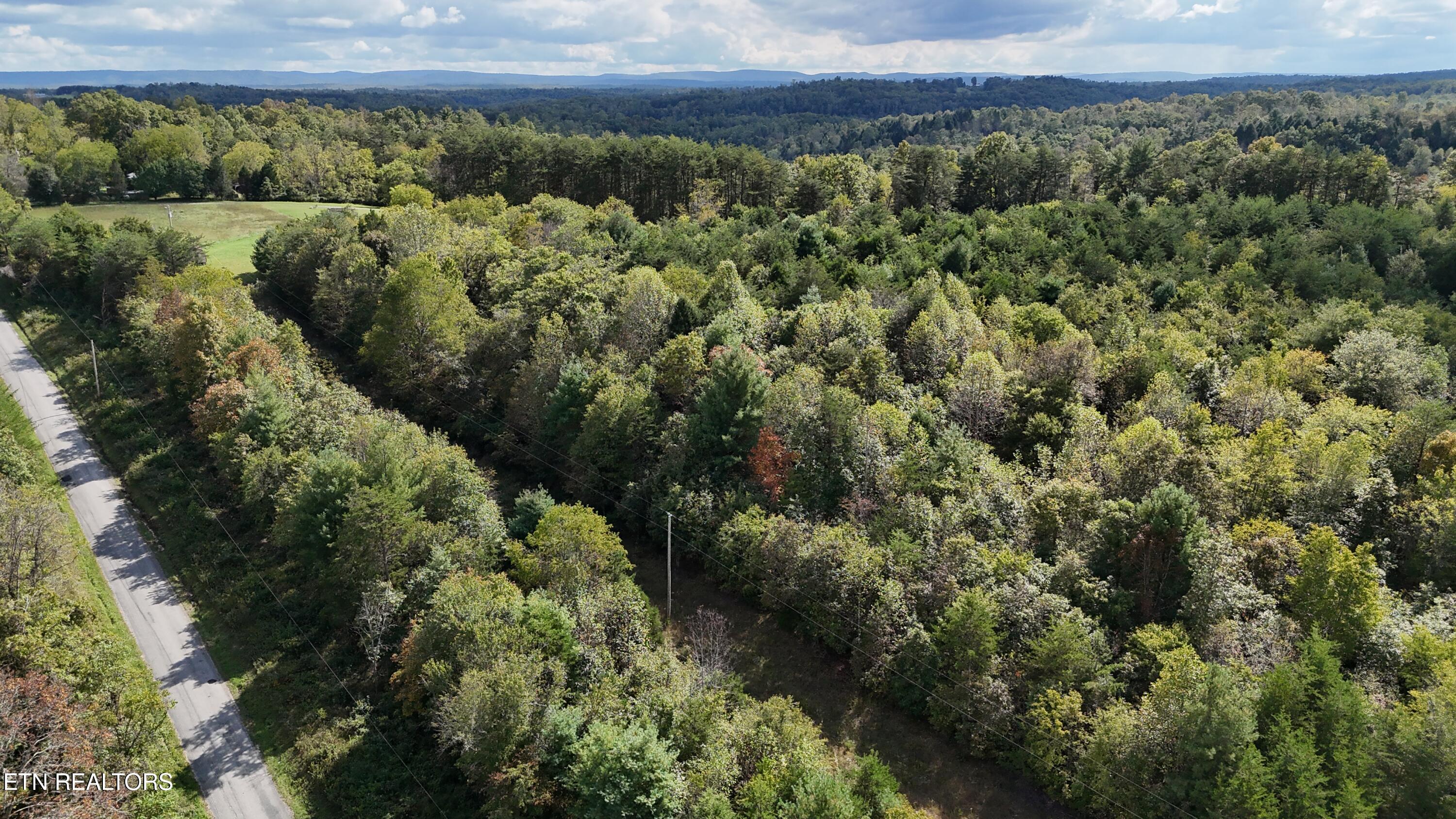 Reid Watson Road Deer Lodge TN 37726