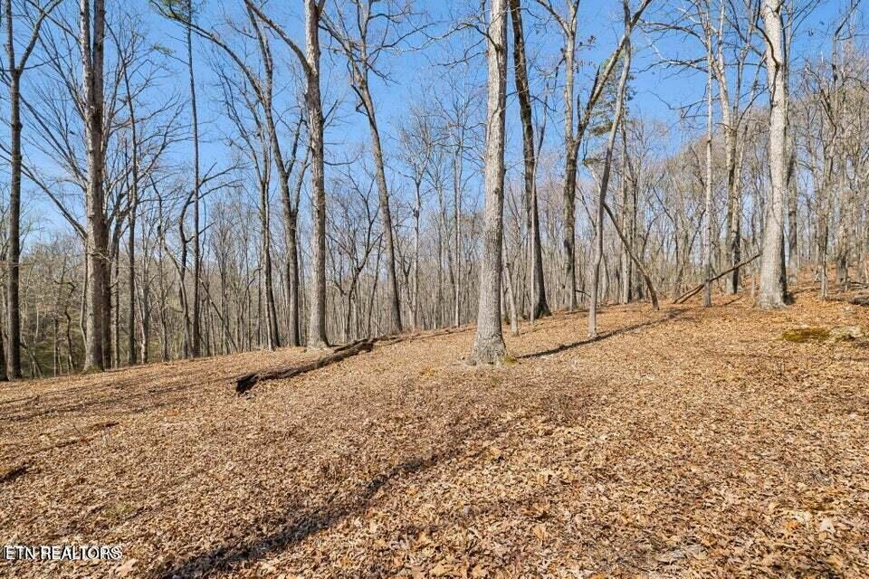 1300 Old Sugar Limb Road Loudon TN 37774