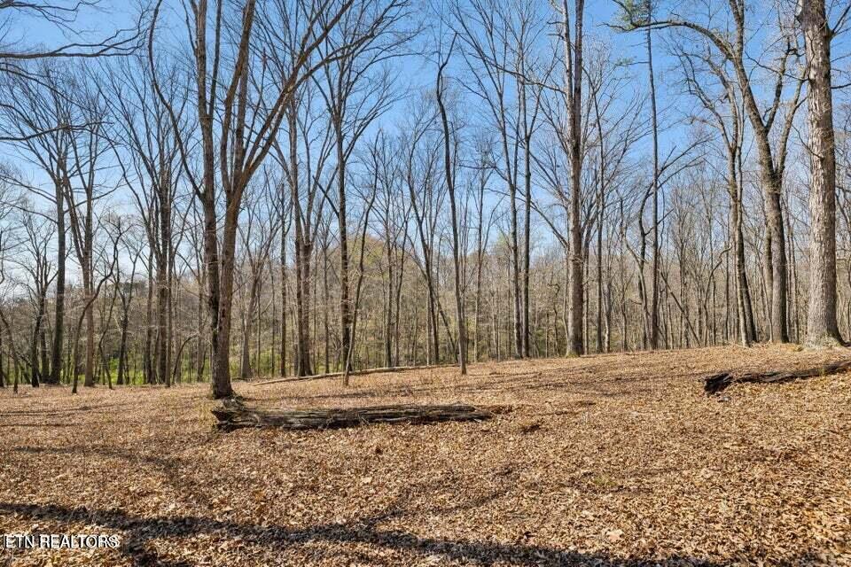 1300 Old Sugar Limb Road Loudon TN 37774