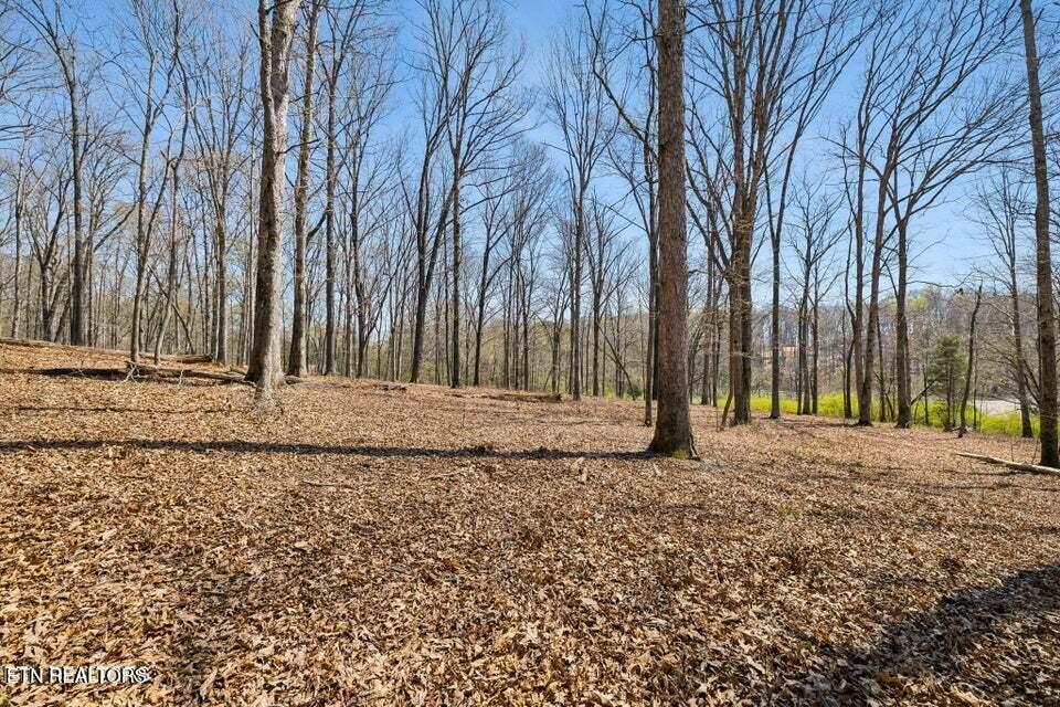 1300 Old Sugar Limb Road Loudon TN 37774