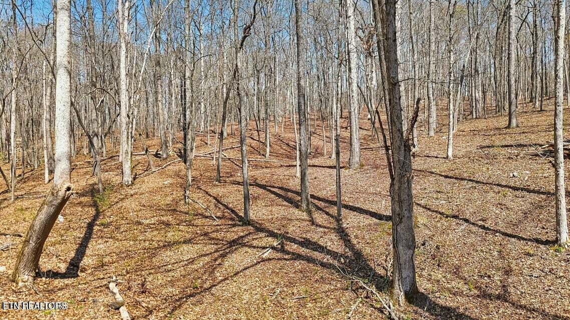 1300 Old Sugar Limb Road Loudon TN 37774