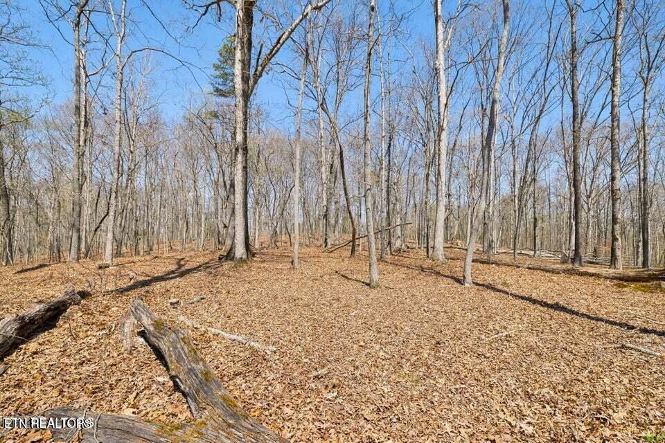 1300 Old Sugar Limb Road Loudon TN 37774