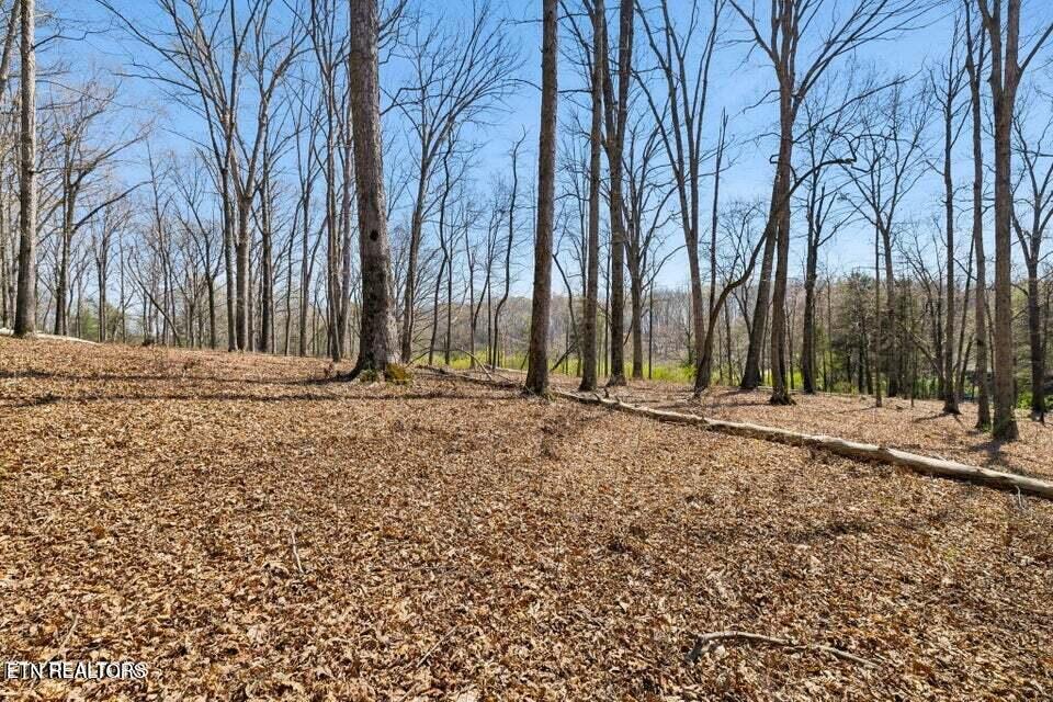 1300 Old Sugar Limb Road Loudon TN 37774