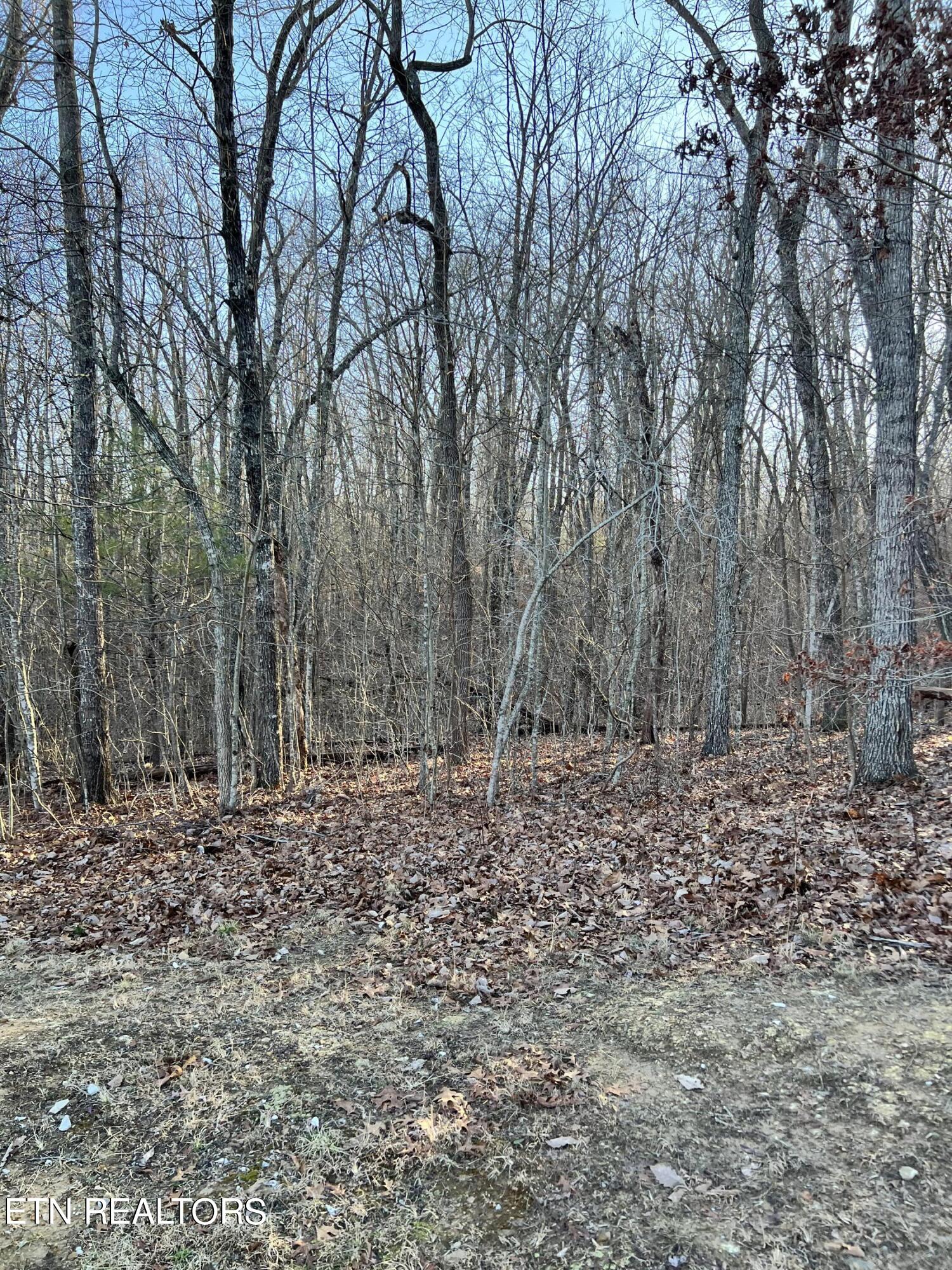 144 Folkstone Road Crossville TN 38558