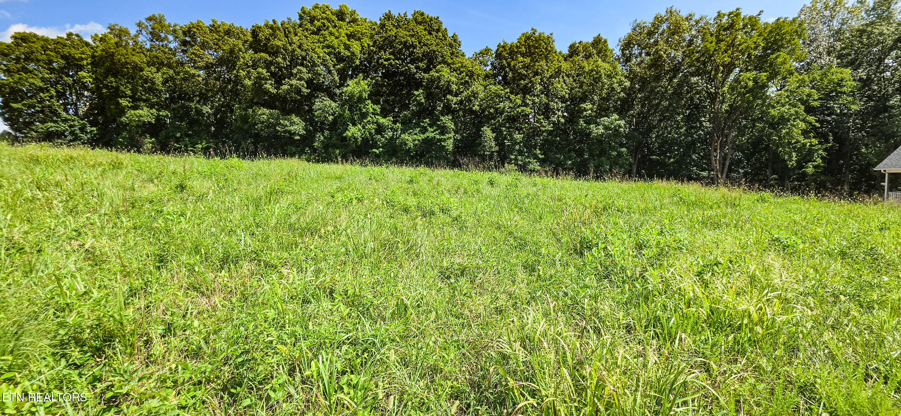 Lot 230 Jade Lane New Tazewell TN 37825