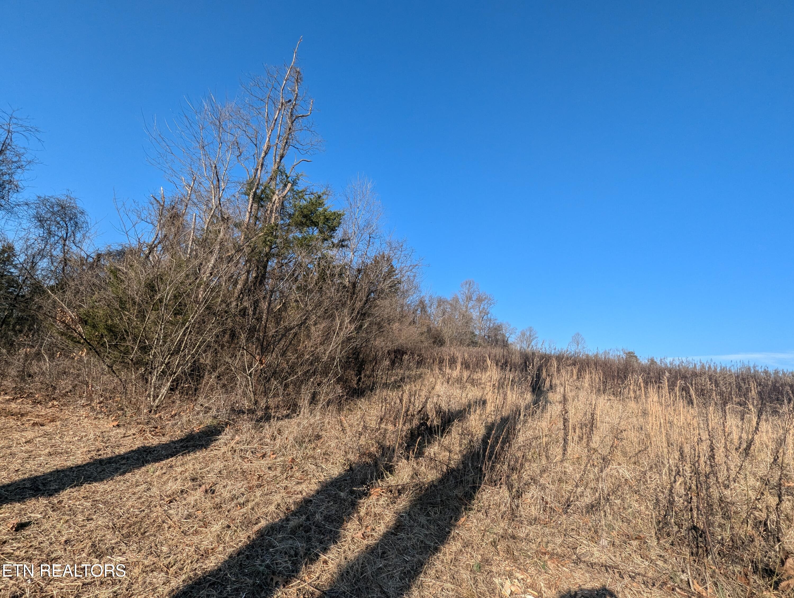 0 Buttermilk Road Knoxville TN 37932