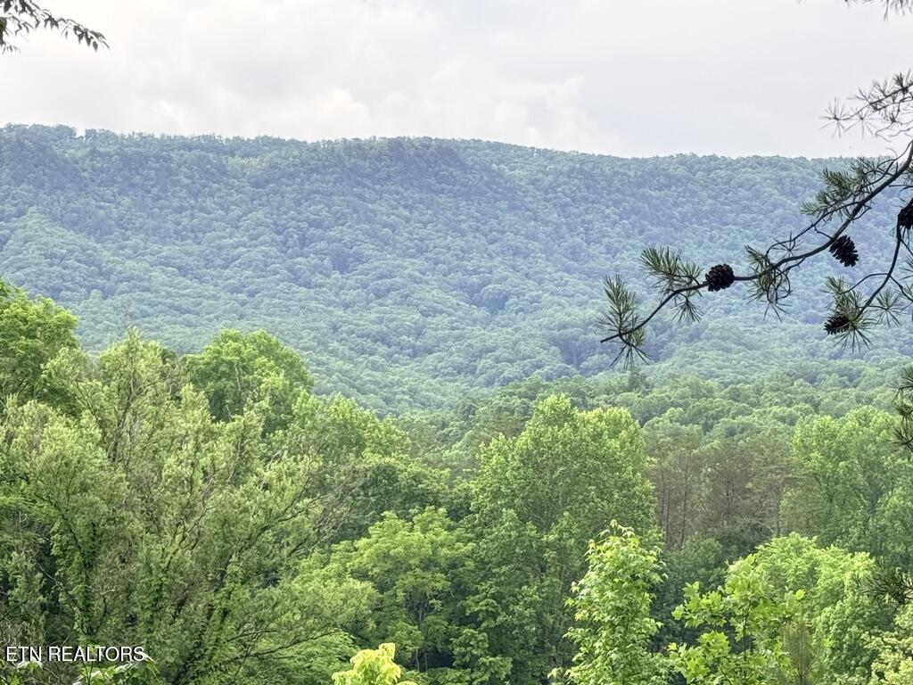 Old Chilhowee Tract 1 Road Seymour TN 37865