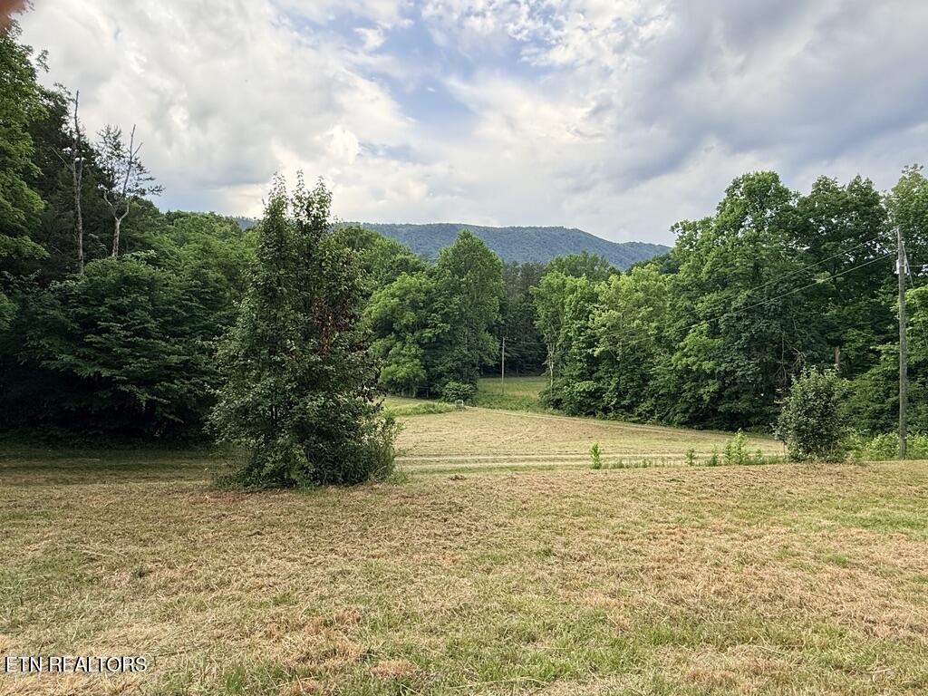 Old Chilhowee Tract 1 Road Seymour TN 37865