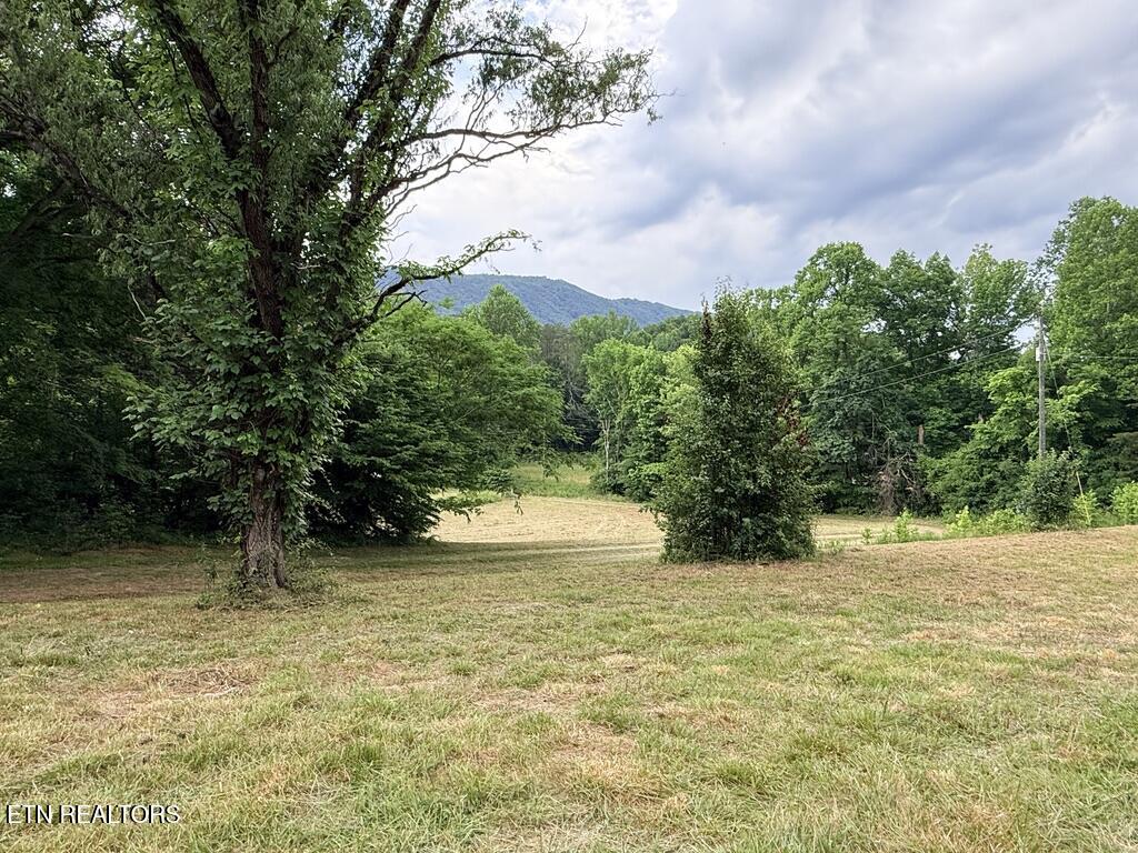 Old Chilhowee Tract 1 Road Seymour TN 37865