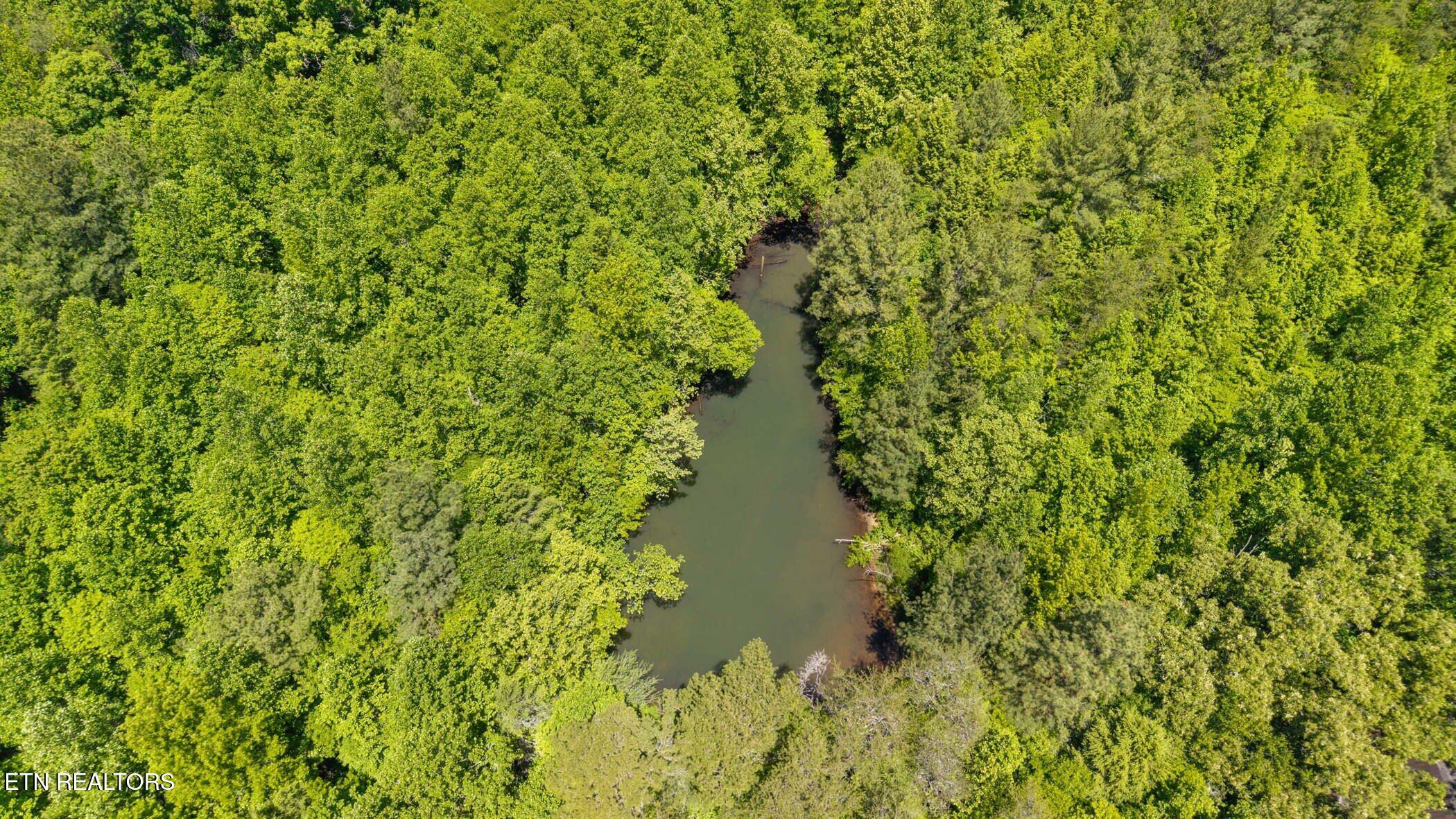 Old Chilhowee Tract 1 Road Seymour TN 37865