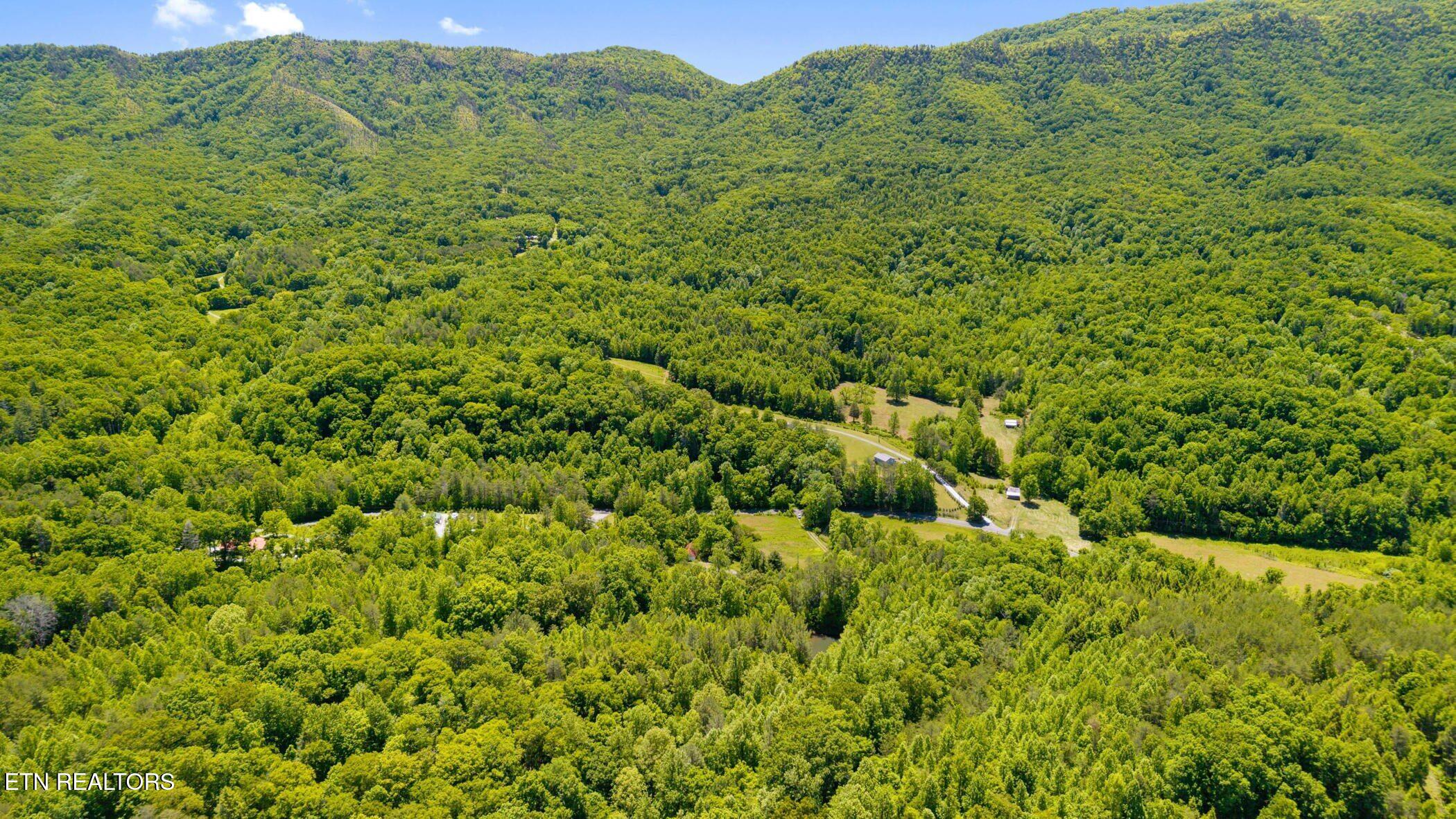 Old Chilhowee Tract 1 Road Seymour TN 37865