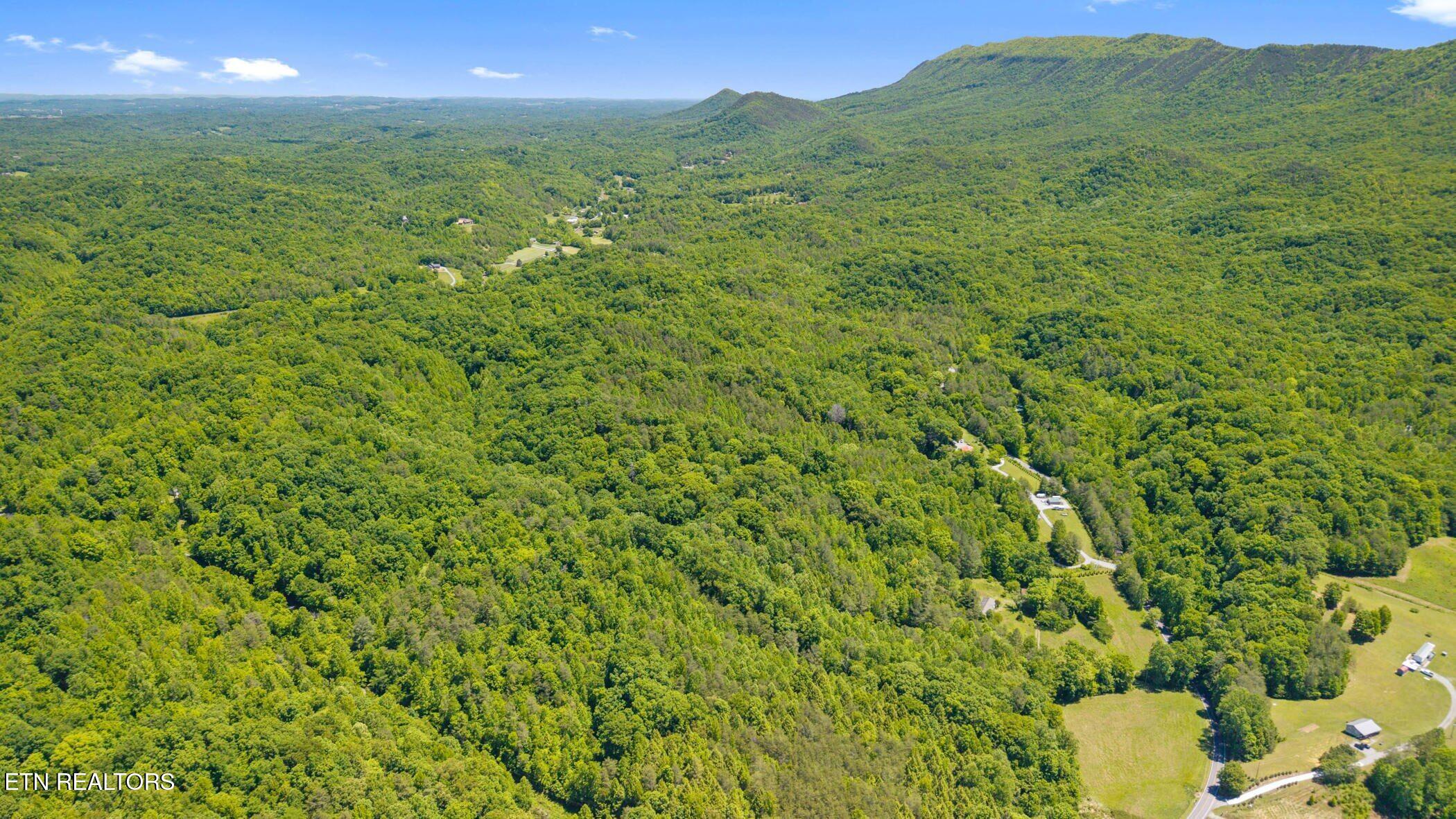 Old Chilhowee Tract 1 Road Seymour TN 37865