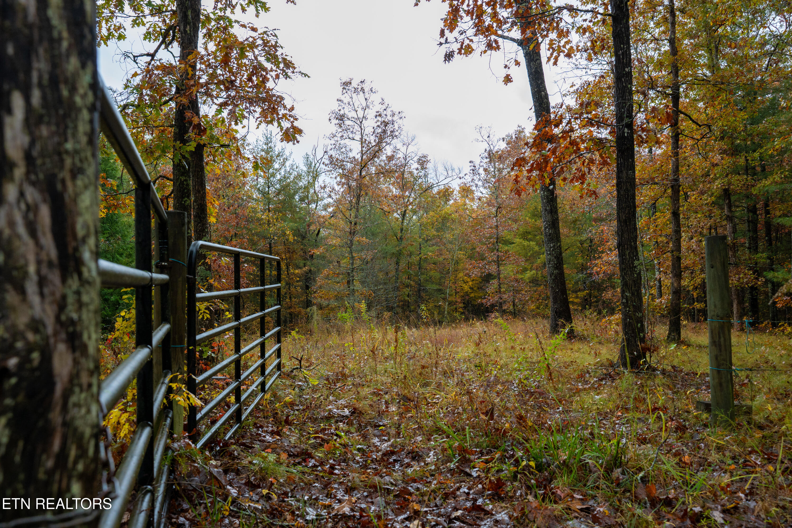 00 Trailhead Lane Jamestown TN 38556