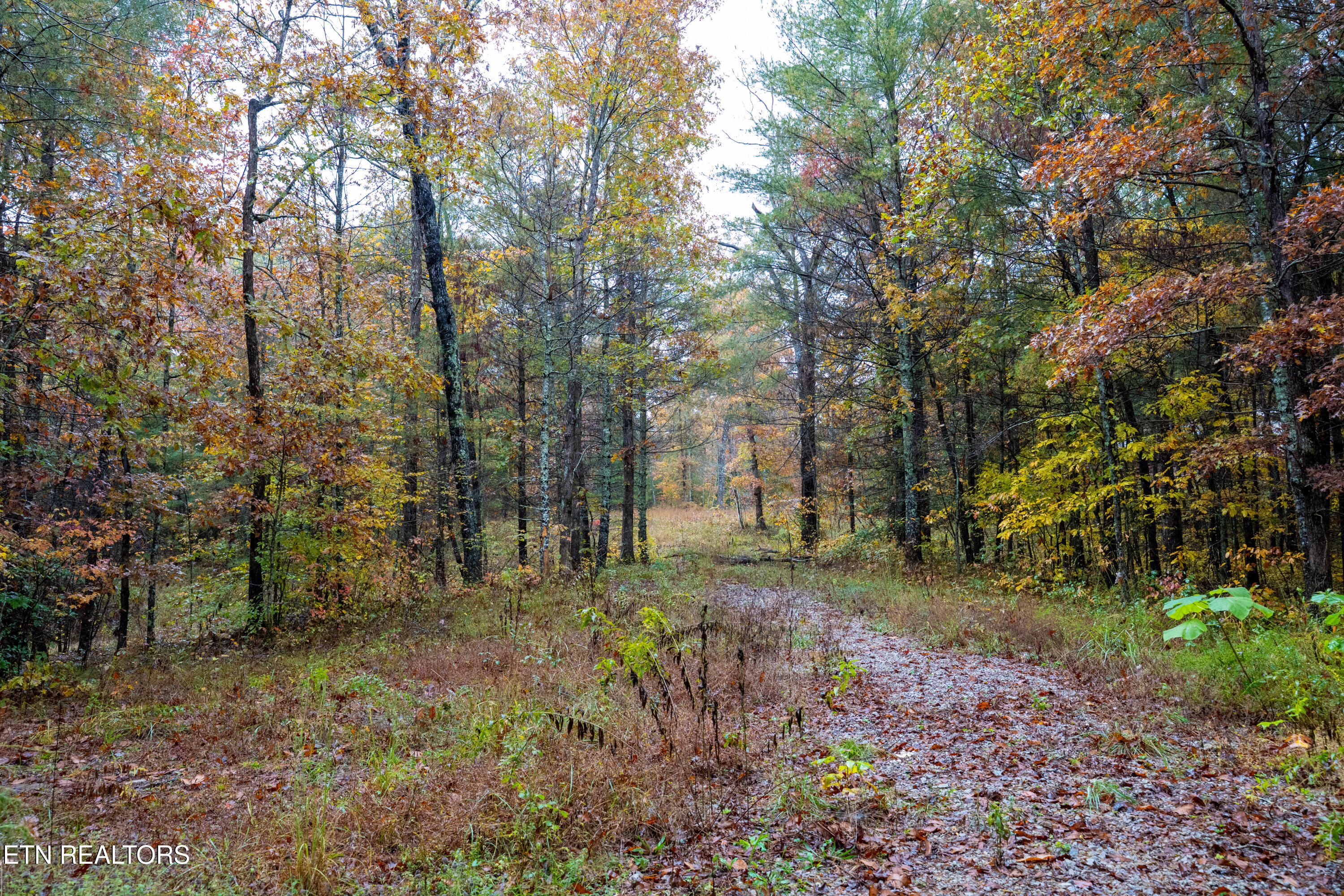 00 Trailhead Lane Jamestown TN 38556