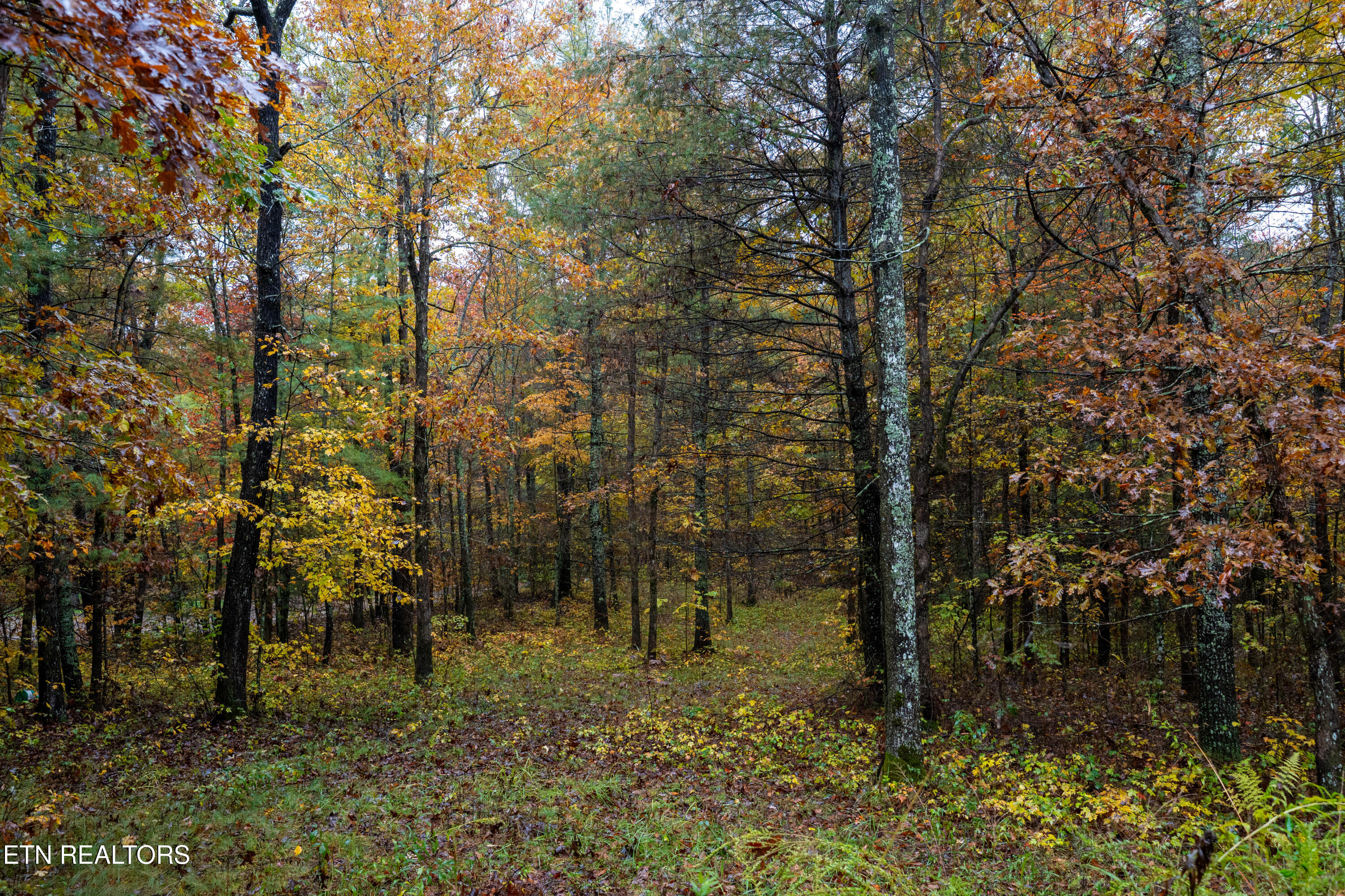 00 Trailhead Lane Jamestown TN 38556