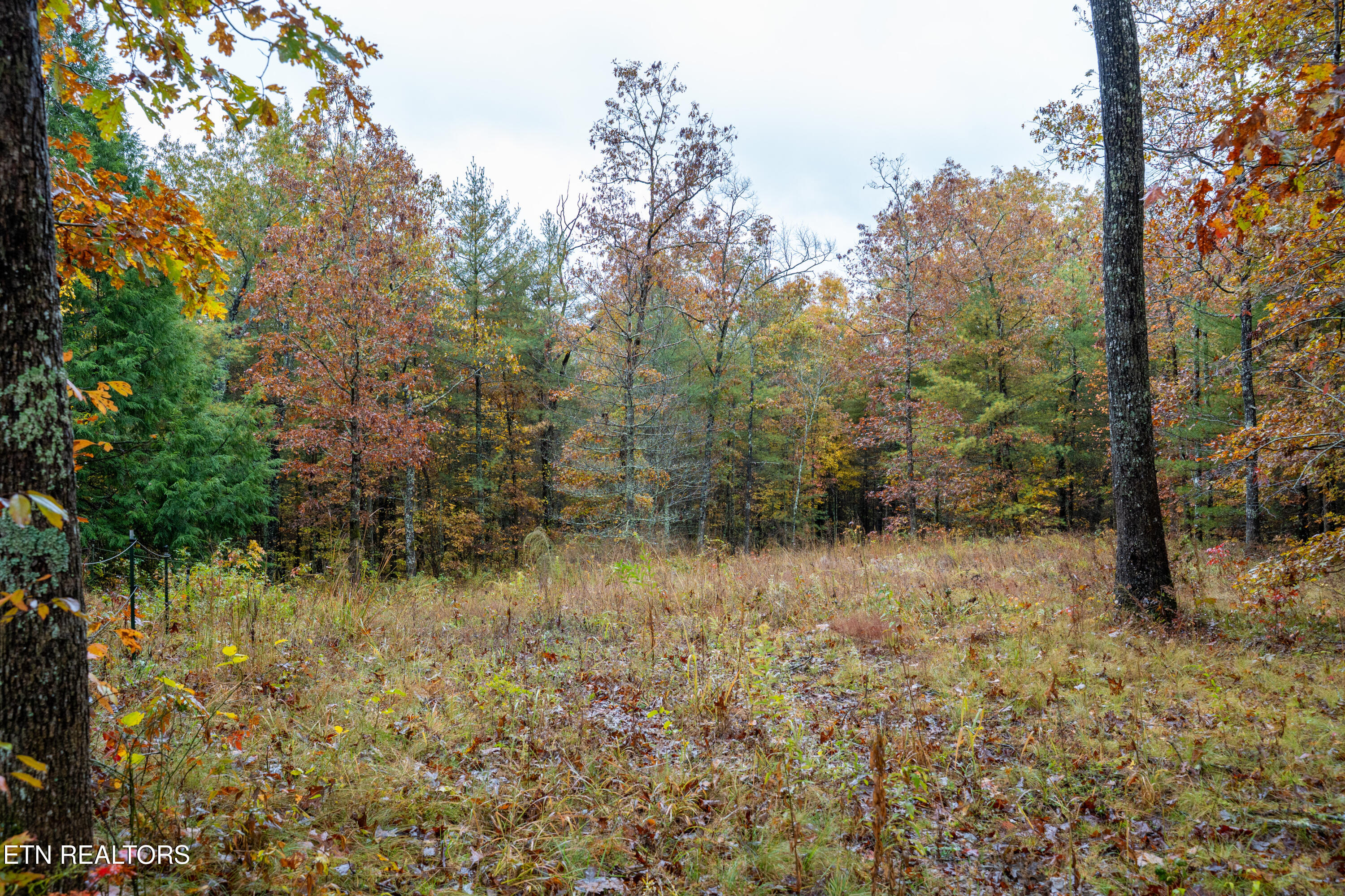 00 Trailhead Lane Jamestown TN 38556