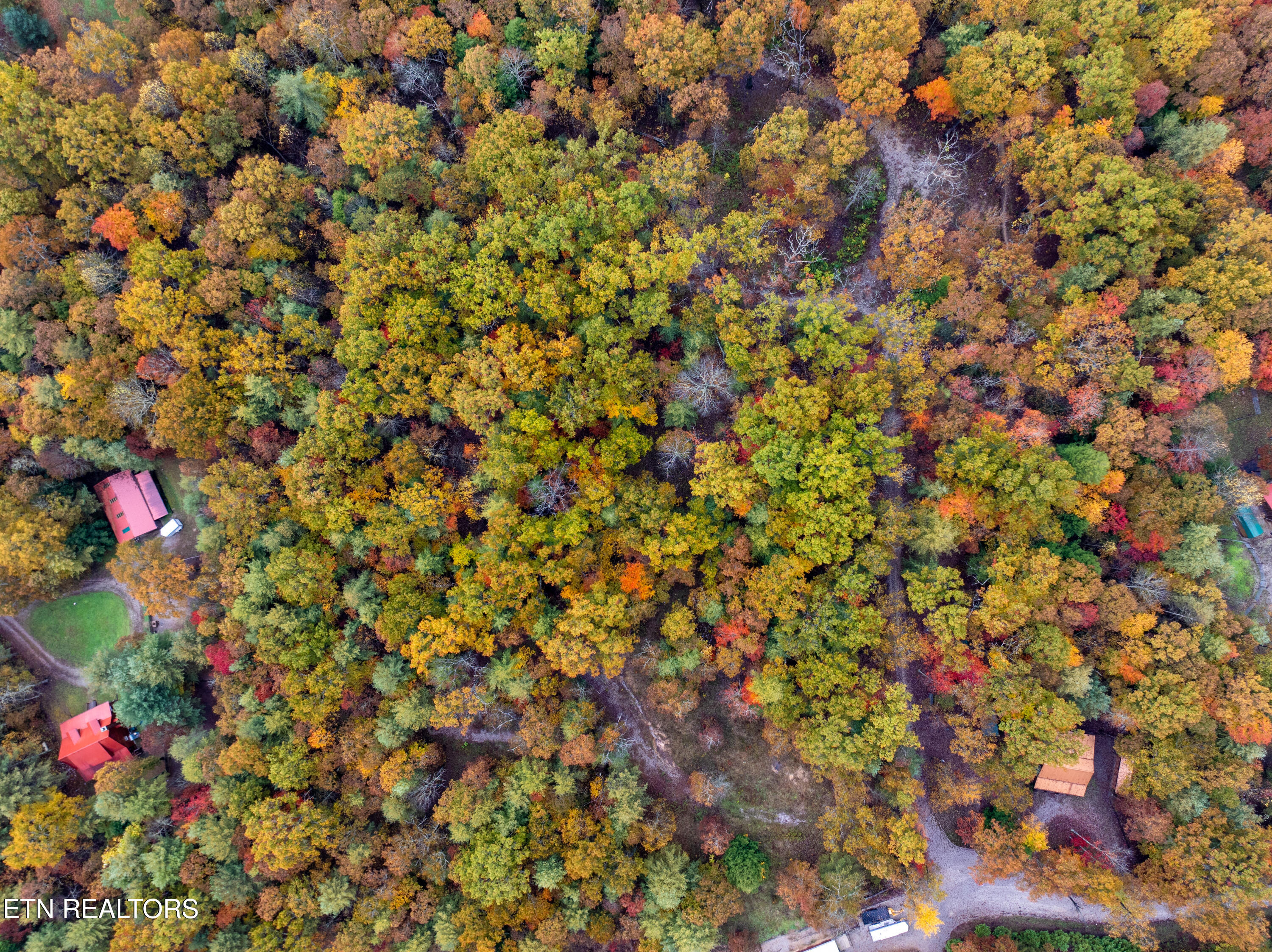 00 Trailhead Lane Jamestown TN 38556
