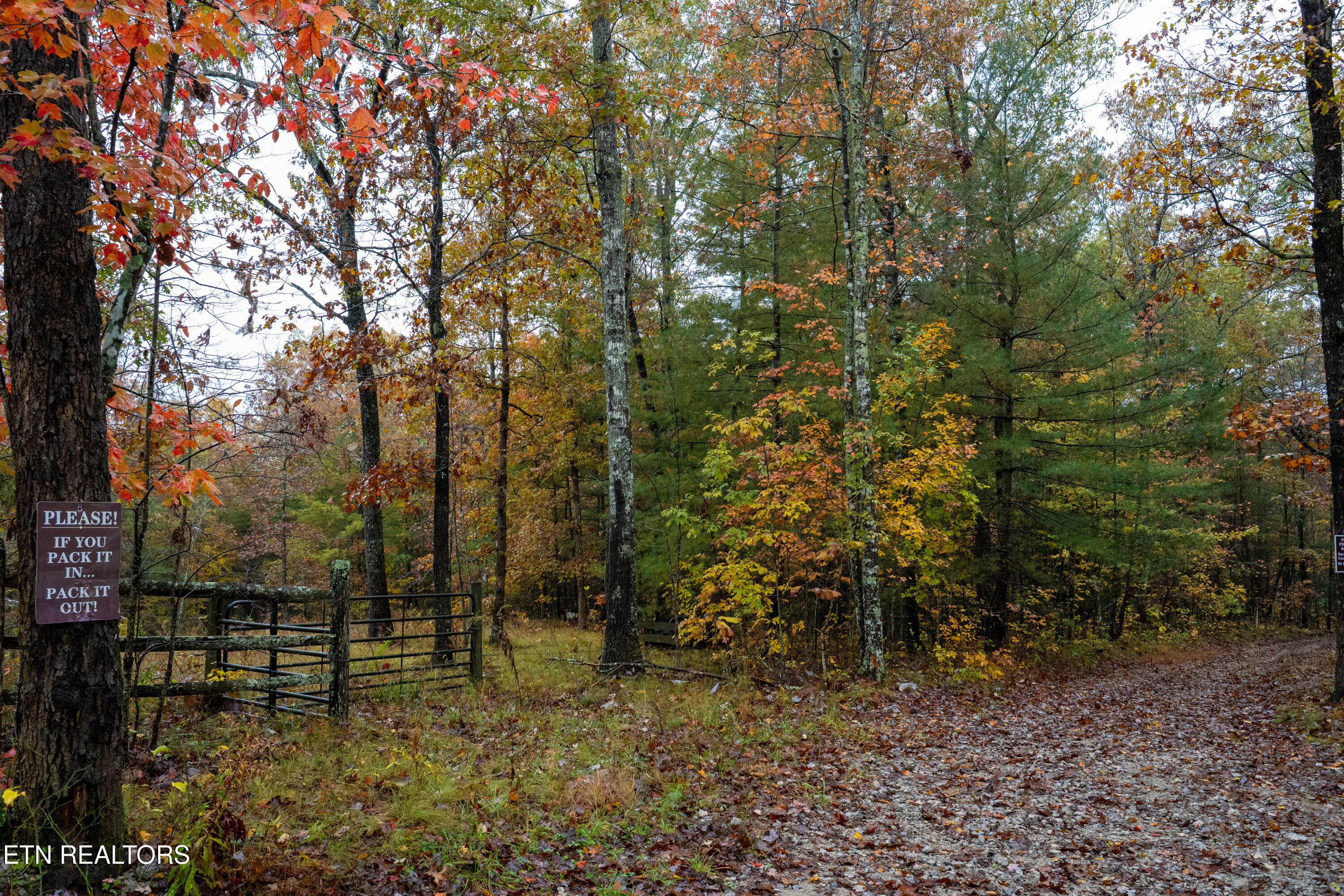 00 Trailhead Lane Jamestown TN 38556