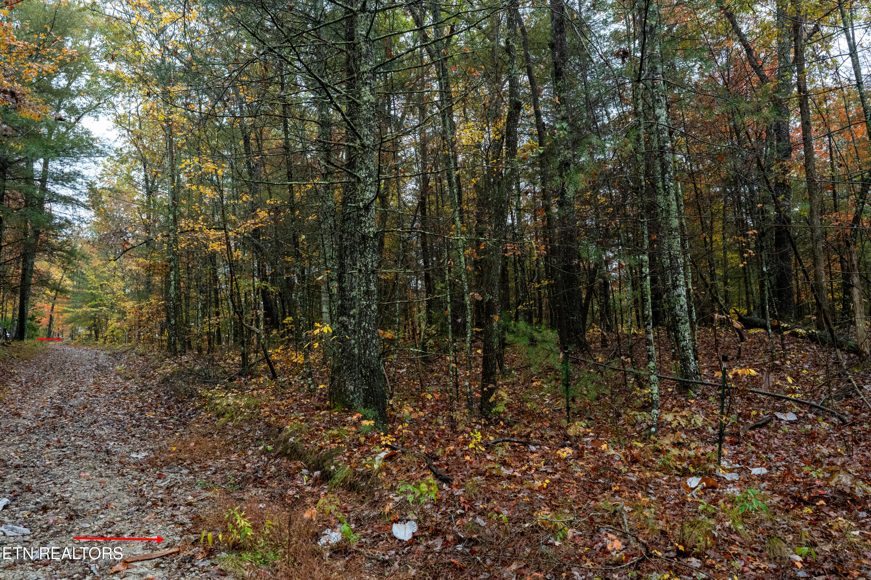 00 Trailhead Lane Jamestown TN 38556