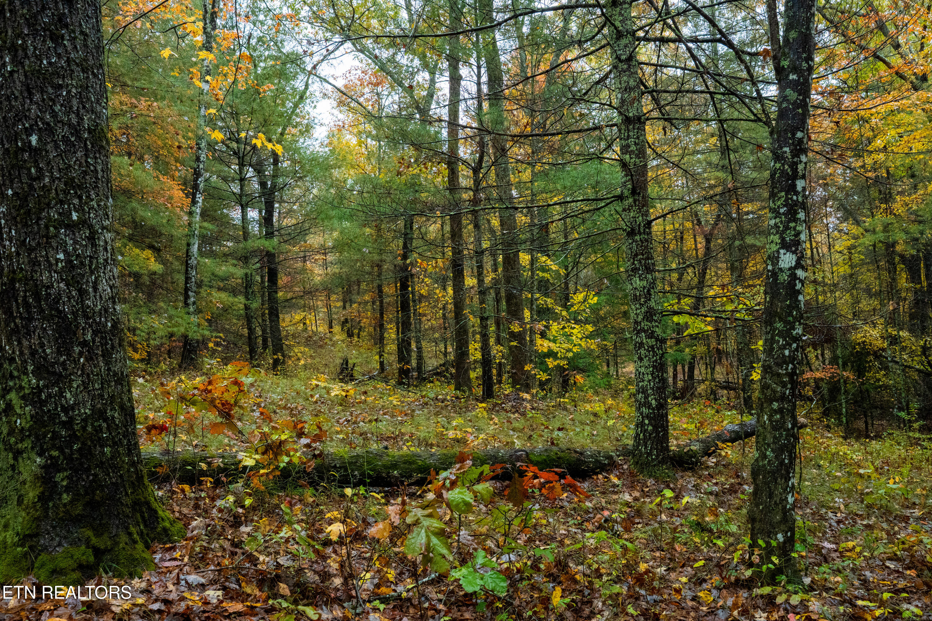 00 Trailhead Lane Jamestown TN 38556