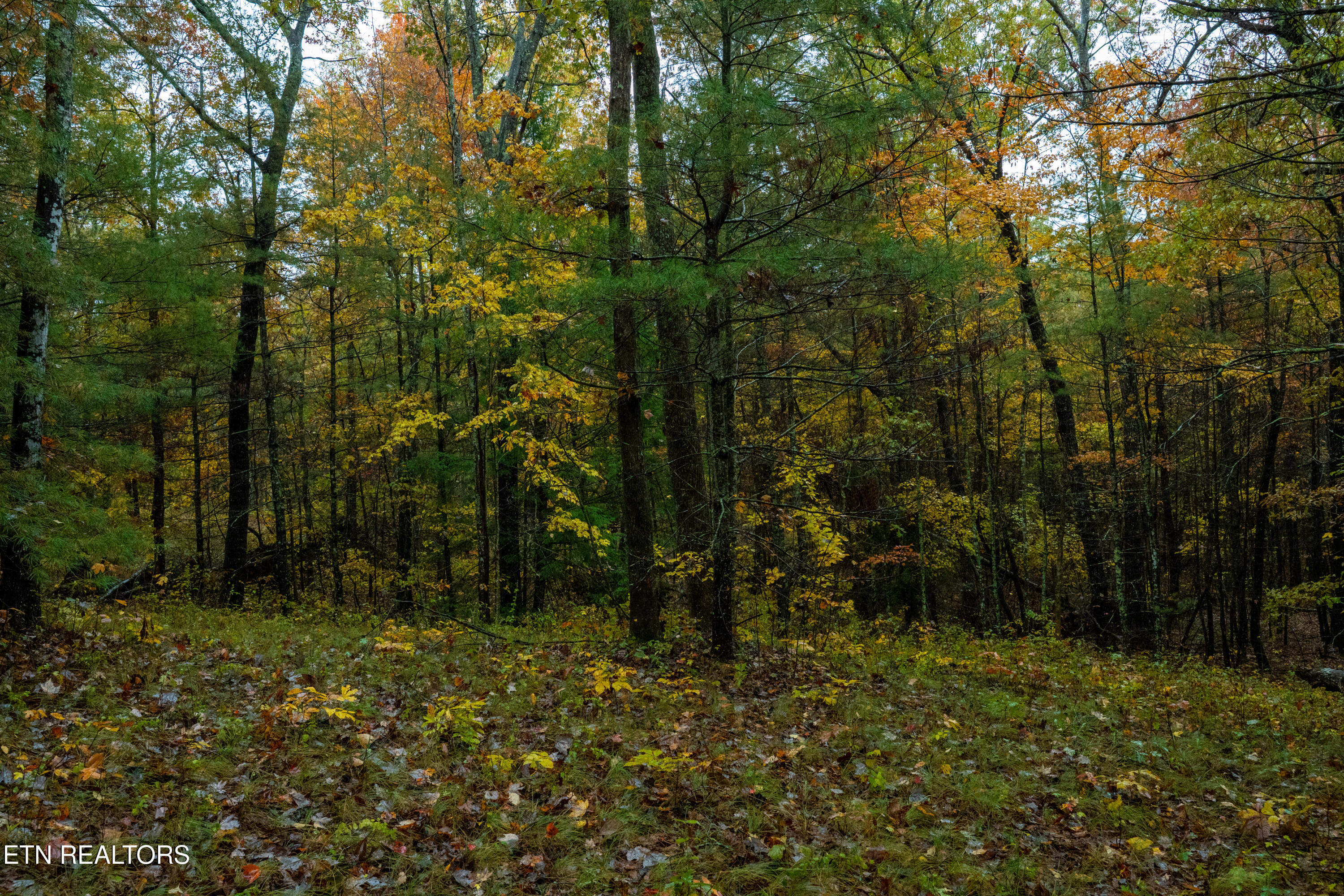 00 Trailhead Lane Jamestown TN 38556