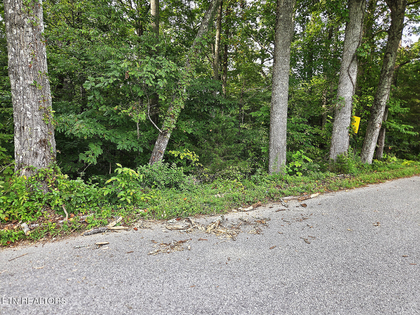 0 Victory Cross Road Lafollette TN 37766
