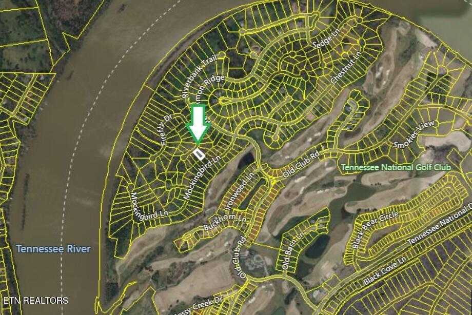 417 Ladybug Lane Loudon TN 37774