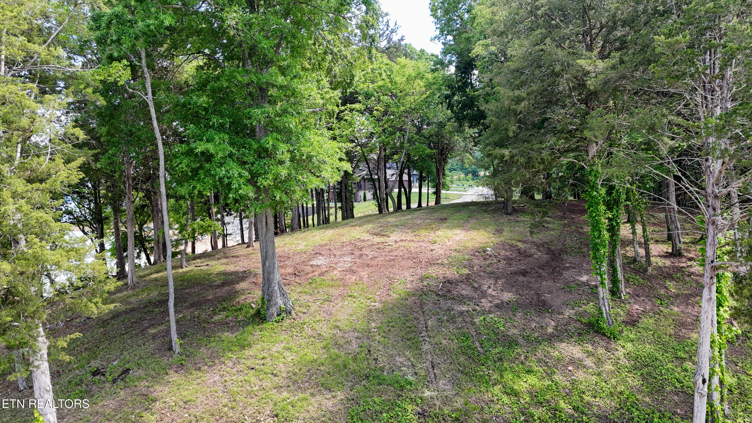 Lot 123 Ridge Point Trail Dandridge TN 37725
