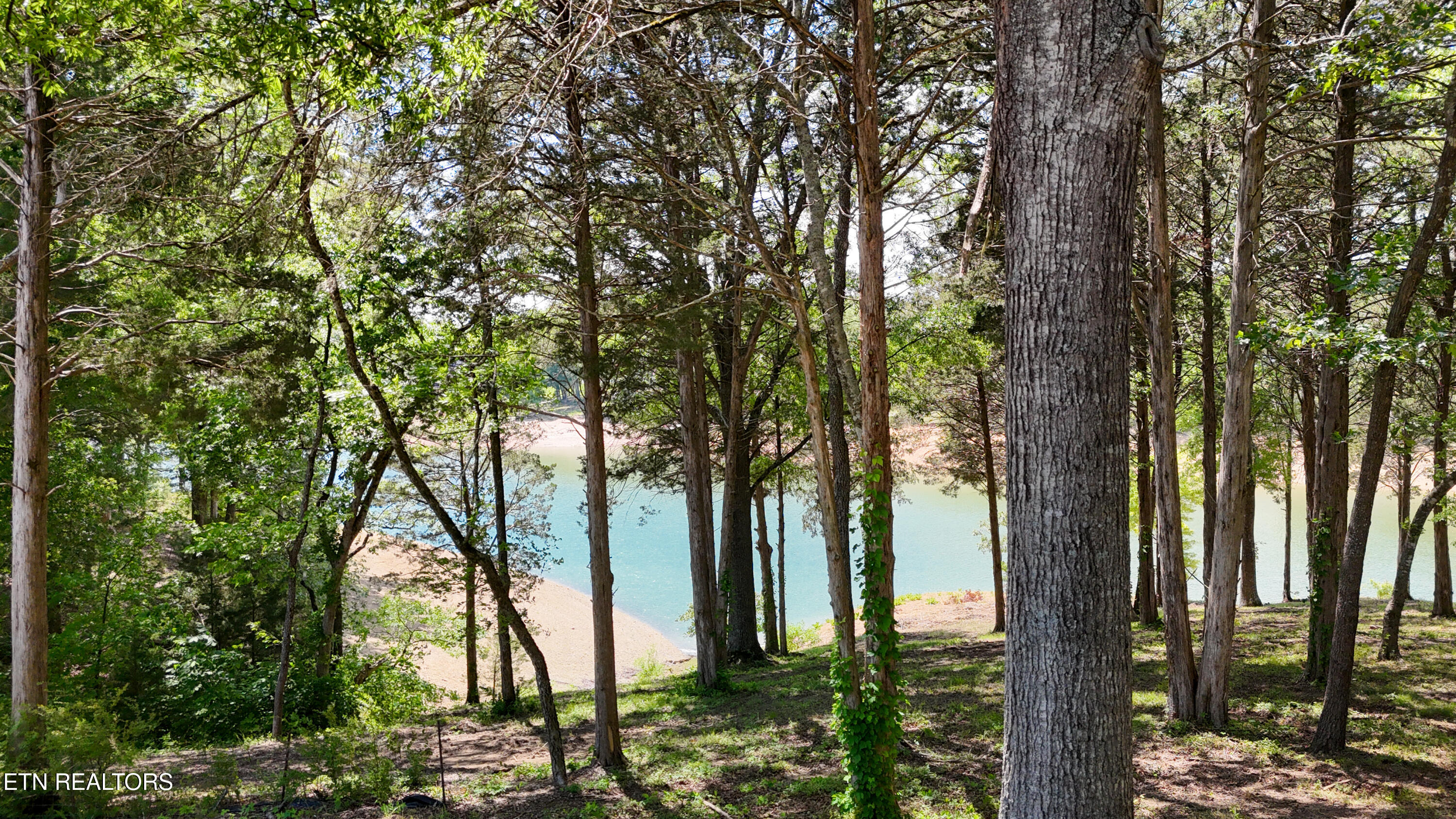 Lot 123 Ridge Point Trail Dandridge TN 37725