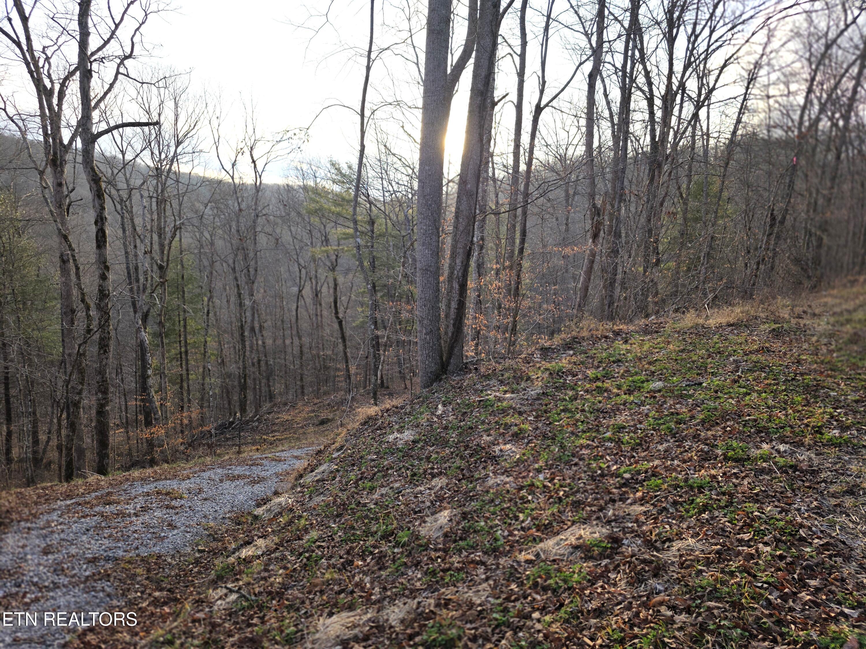 Old Us Highway 27-mtn View Road Robbins TN 37852