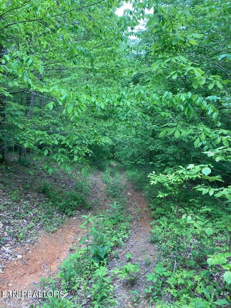 Old Us Highway 27-mtn View Road Robbins TN 37852