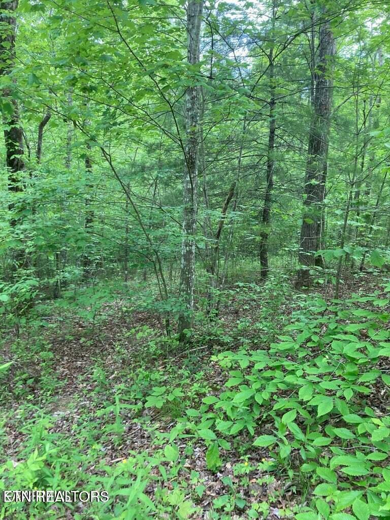Old Us Highway 27-mtn View Road Robbins TN 37852