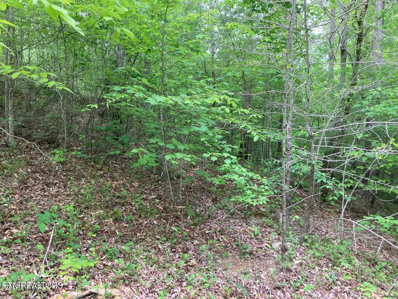 Old Us Highway 27-mtn View Road Robbins TN 37852